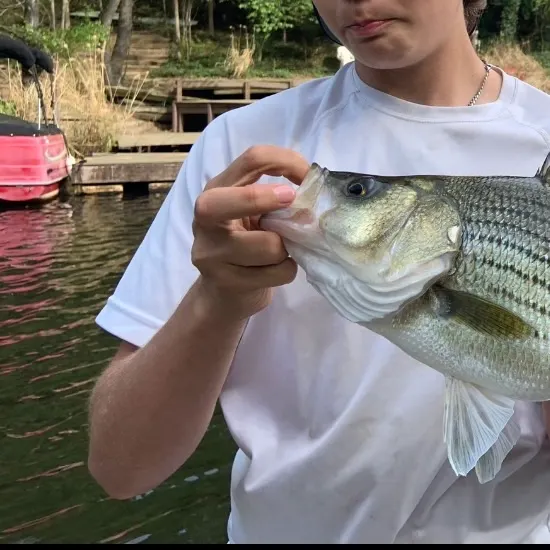 Wiper caught on Fishbrain