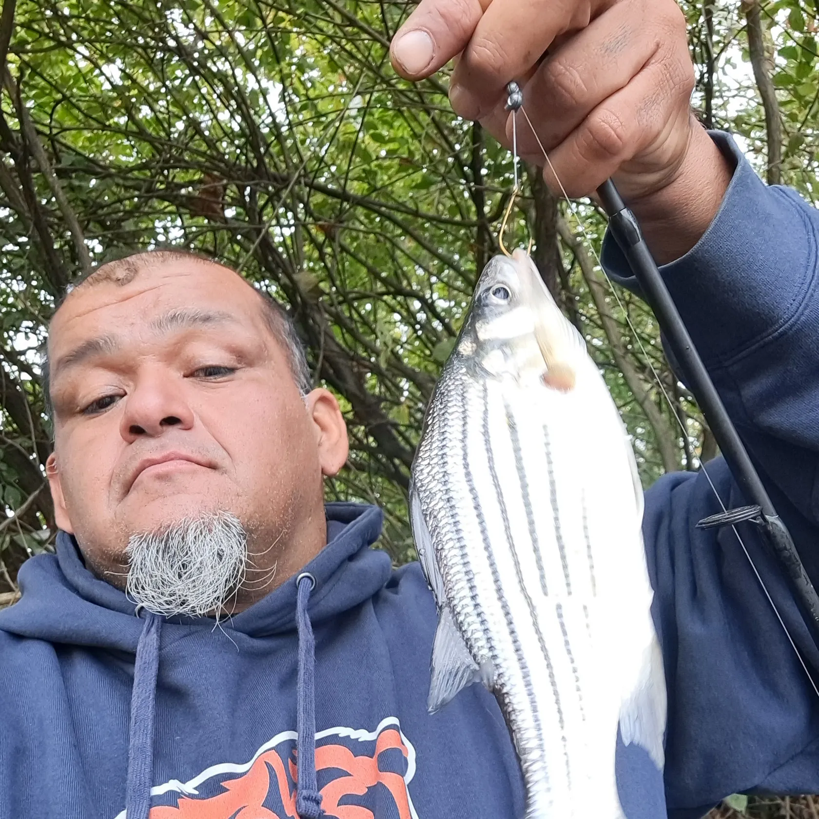 Striped bass caught on Fishbrain