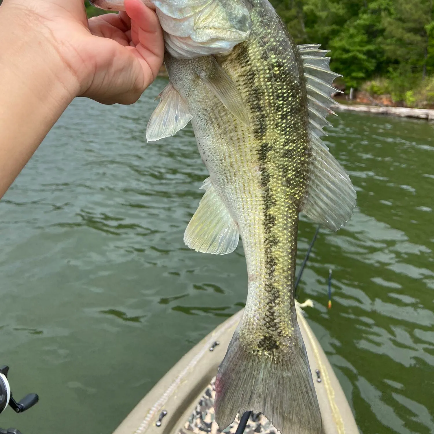 angler catch