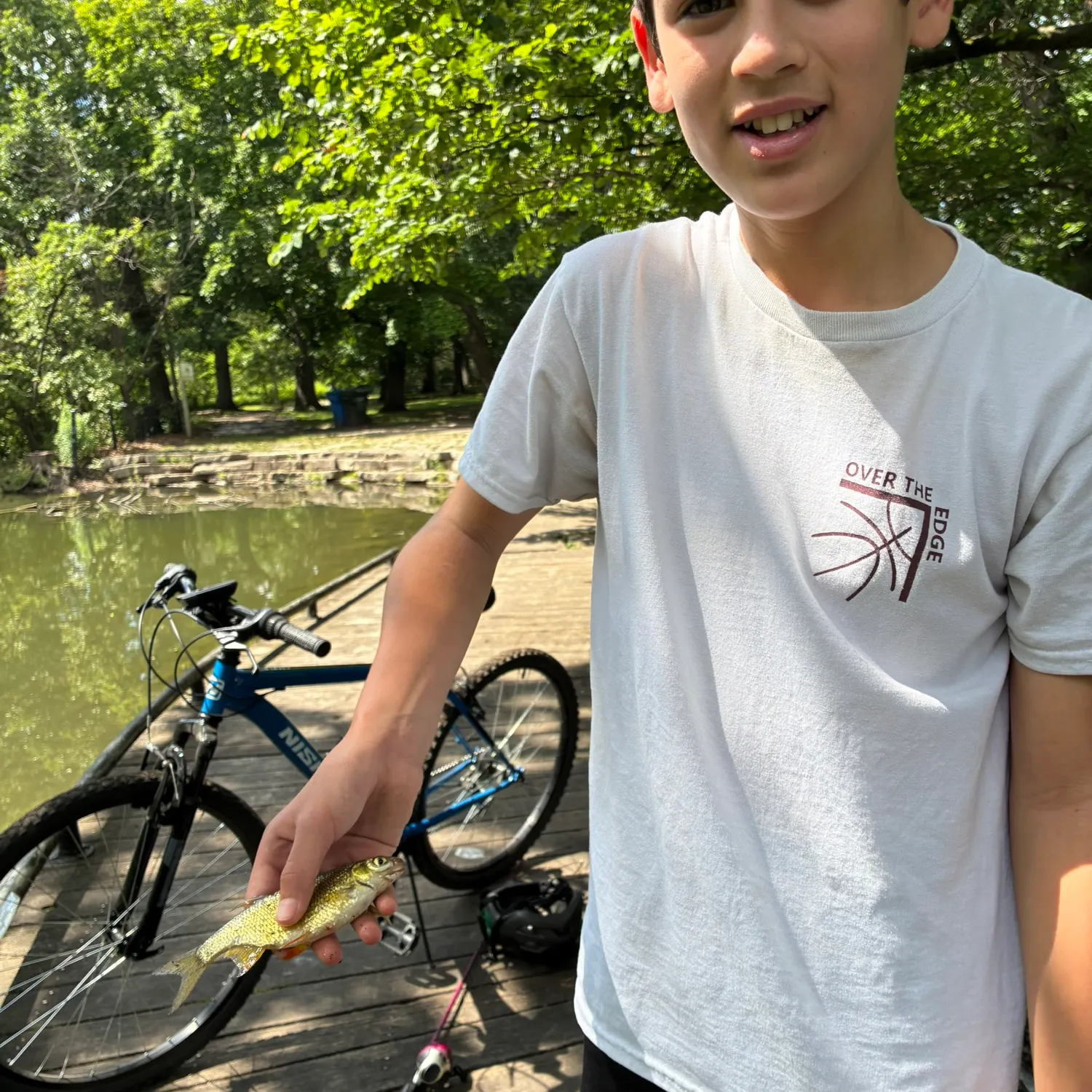 The most recent Golden shiner catches on Fishbrain
