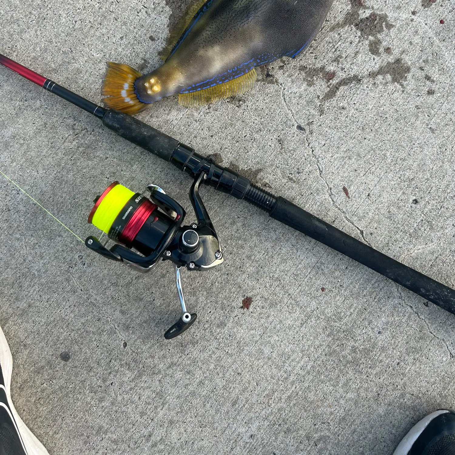 catch