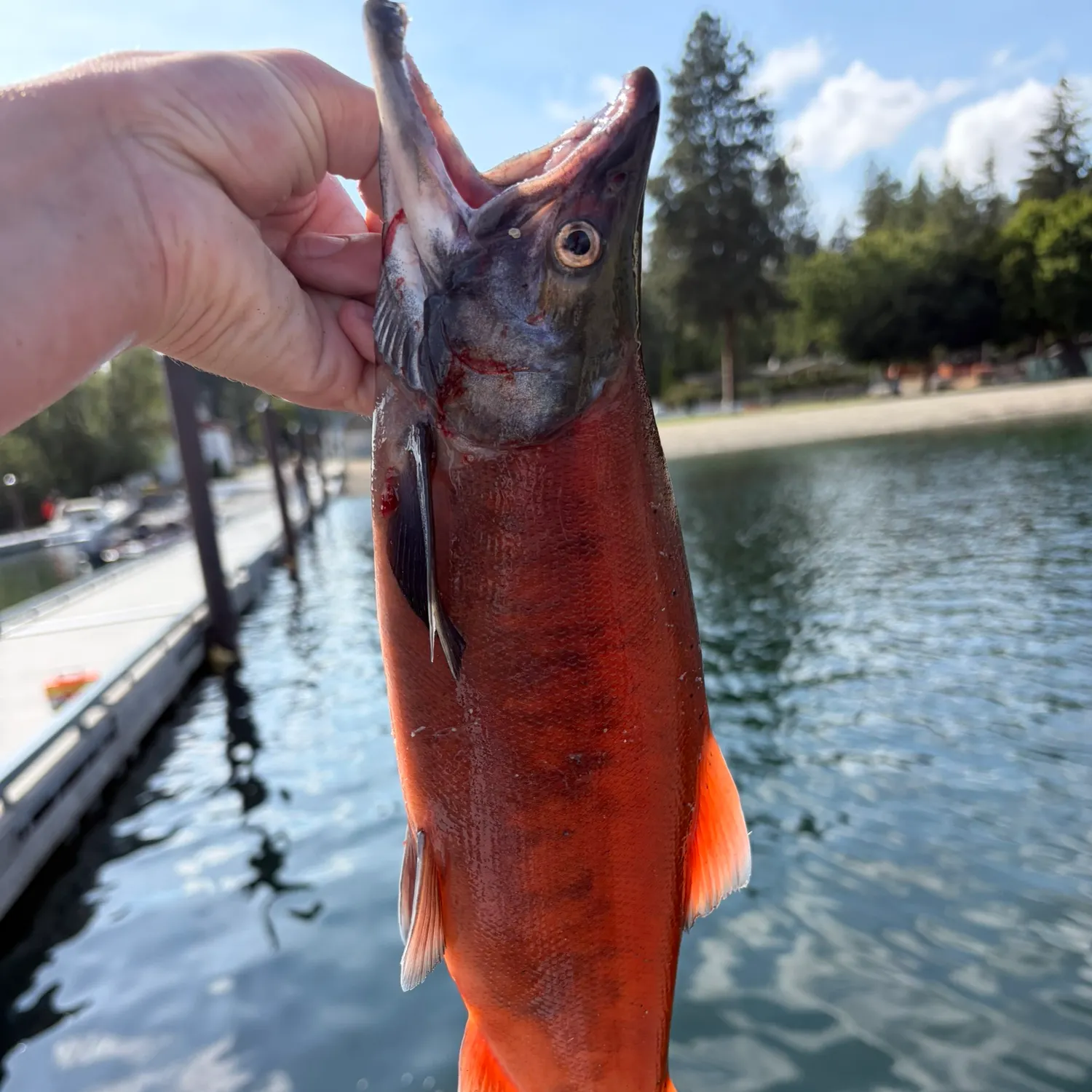 catch