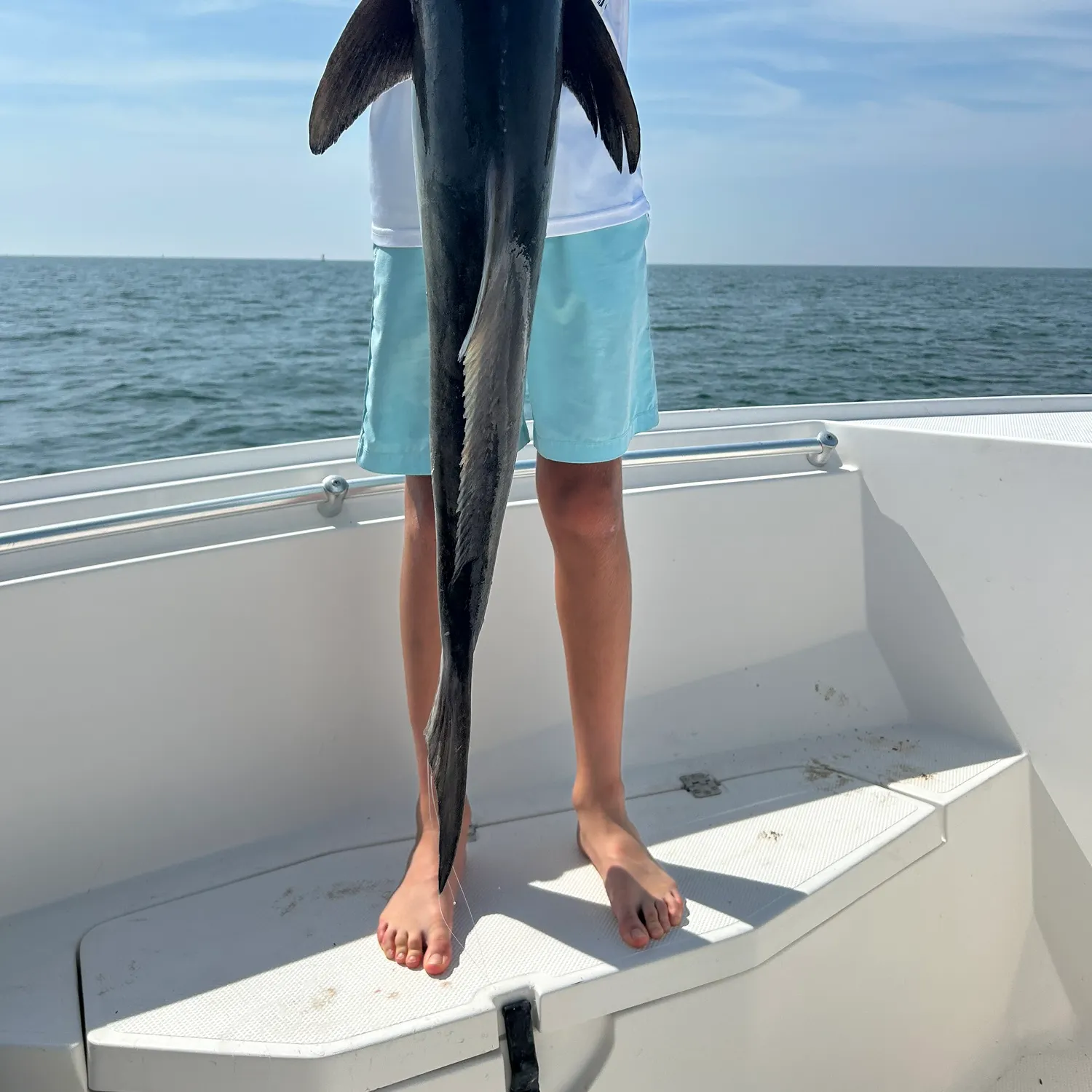 The most recent Cobia catches on Fishbrain