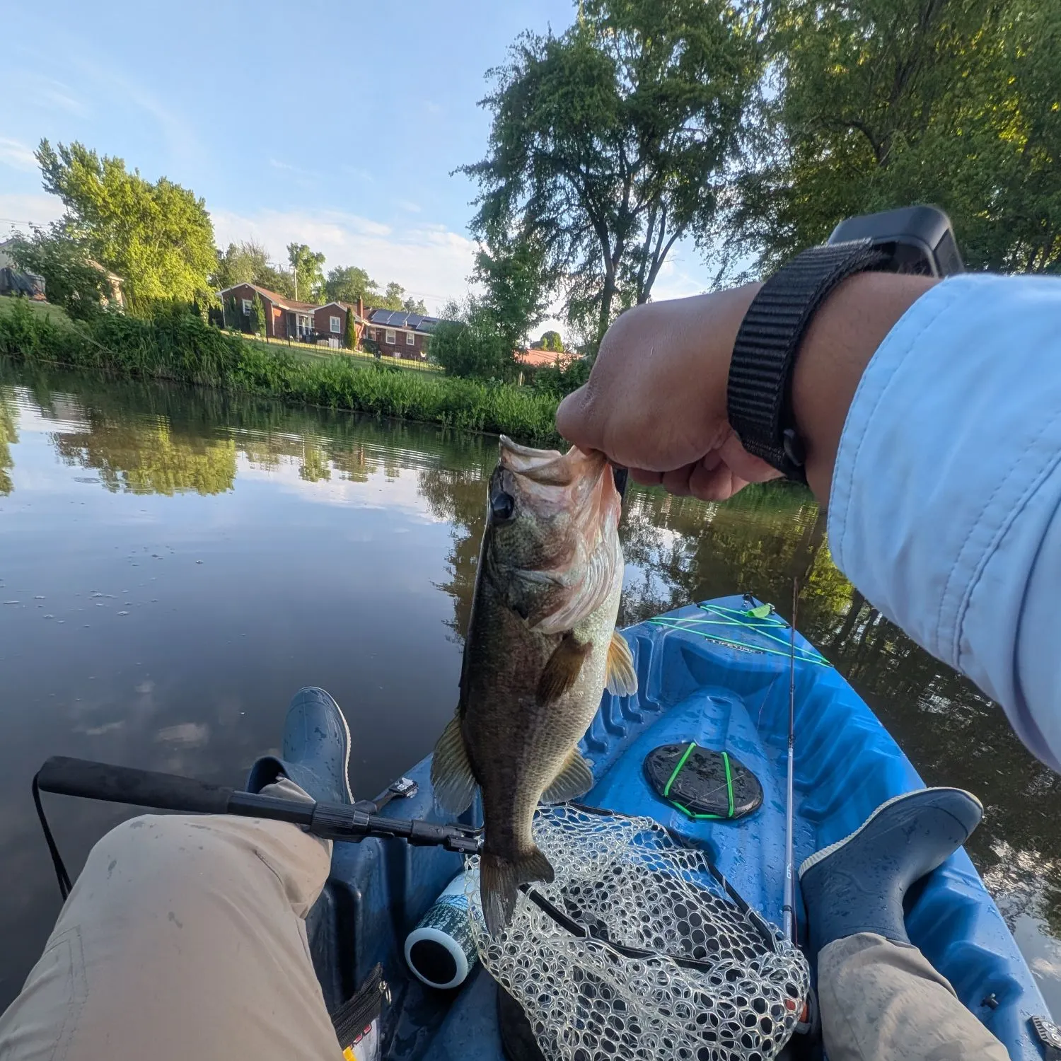catch