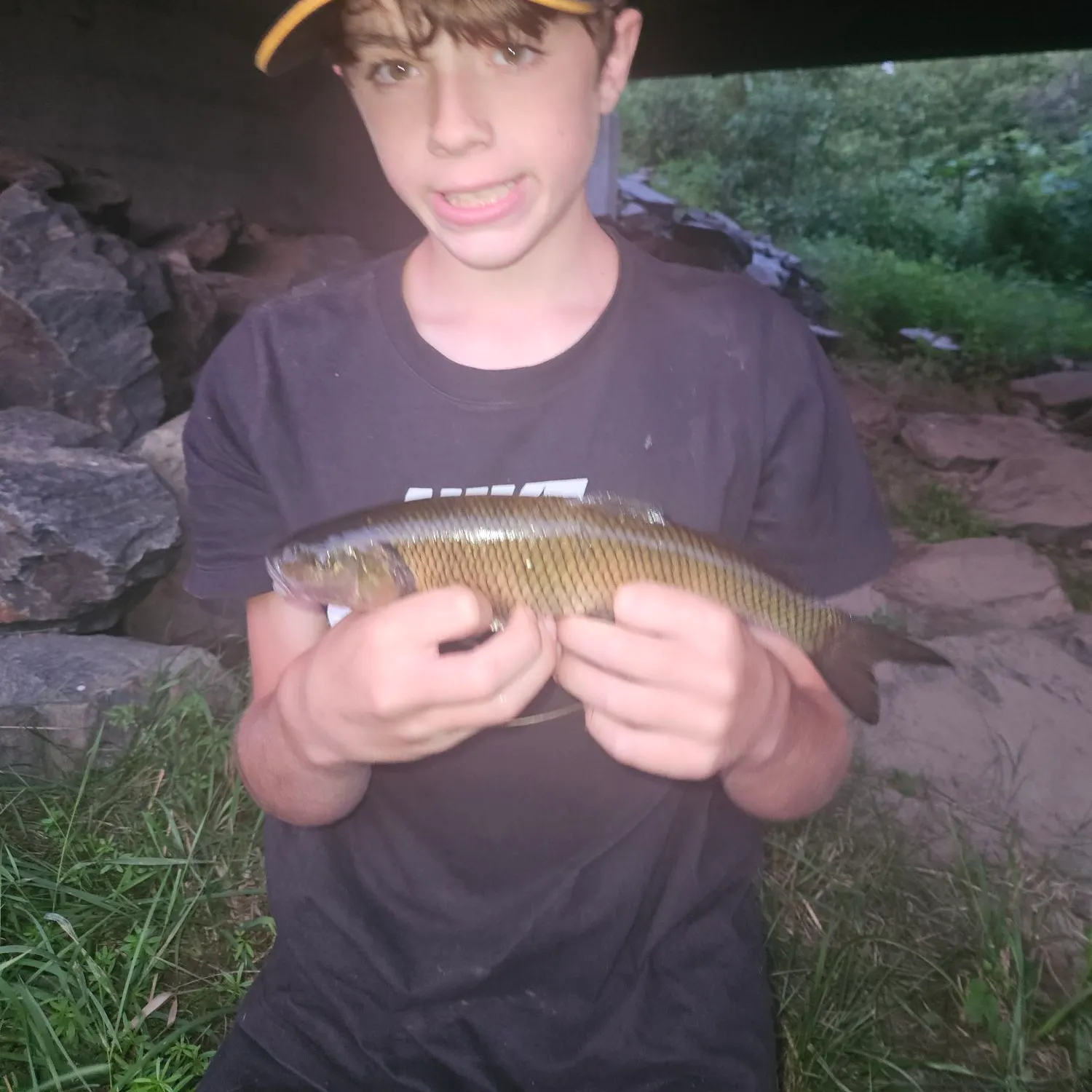 The most recent Fallfish catches on Fishbrain