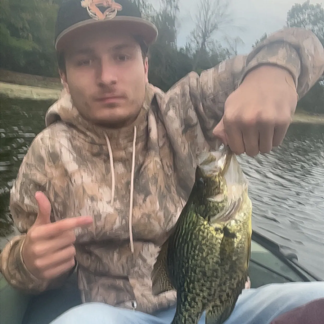 Black crappie caught on Fishbrain