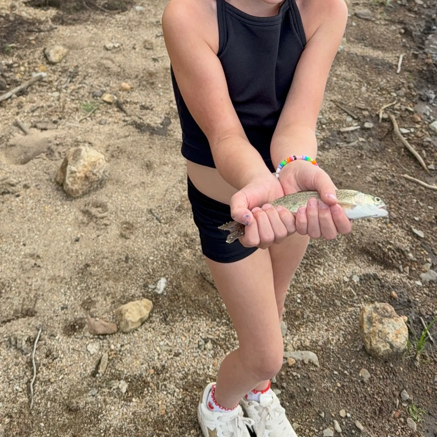 Rainbow trout caught on Fishbrain