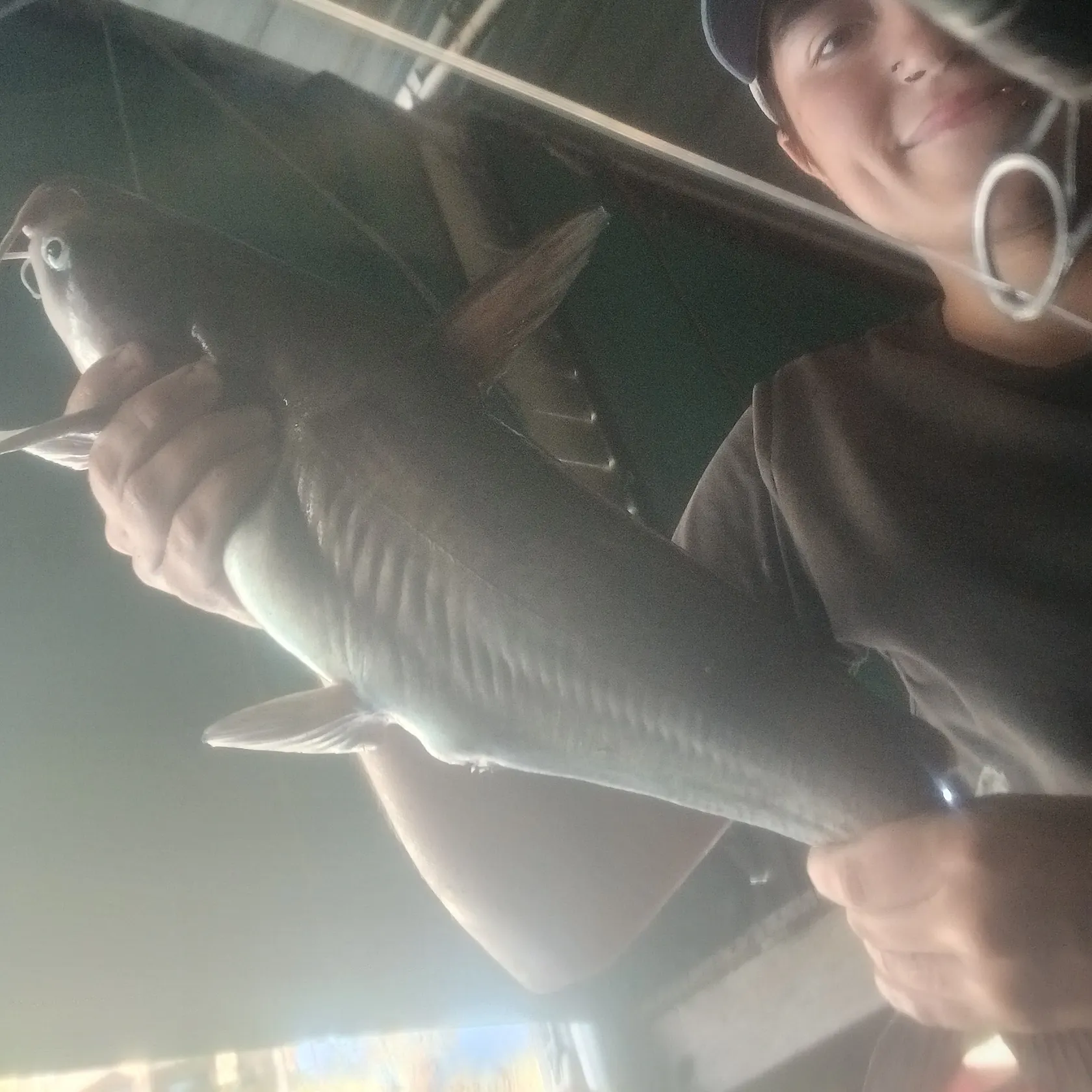 Blue catfish caught on Fishbrain