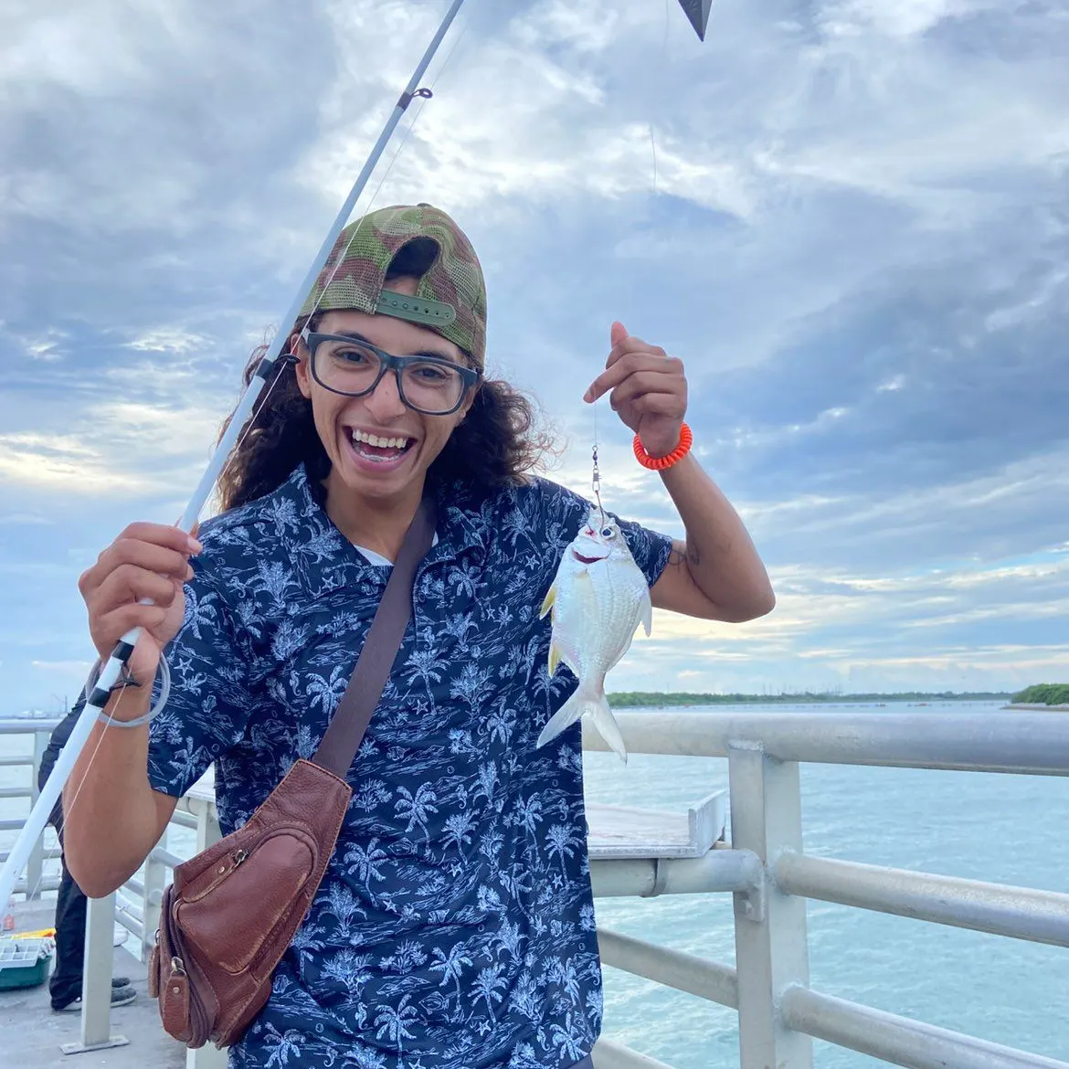 Yellowtail snapper caught on Fishbrain