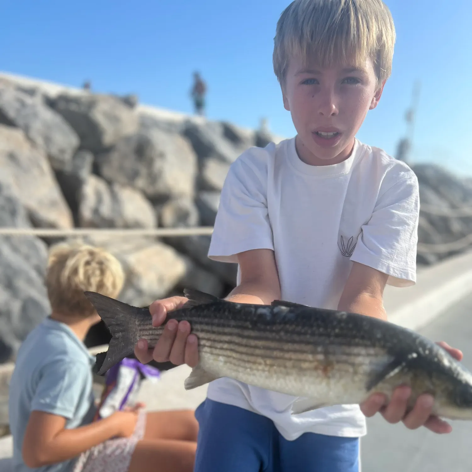 Striped mullet caught on Fishbrain