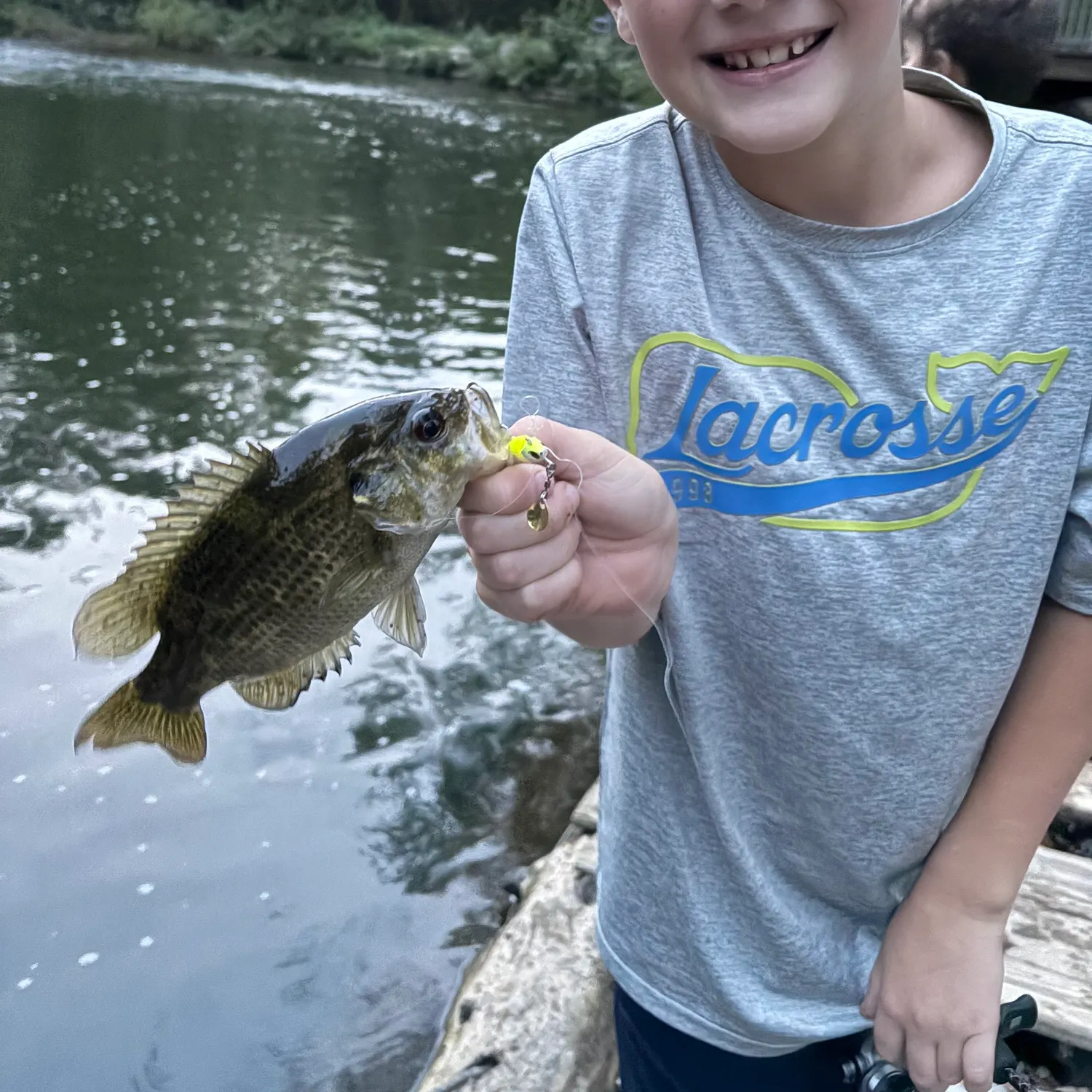 Rock bass caught on Fishbrain