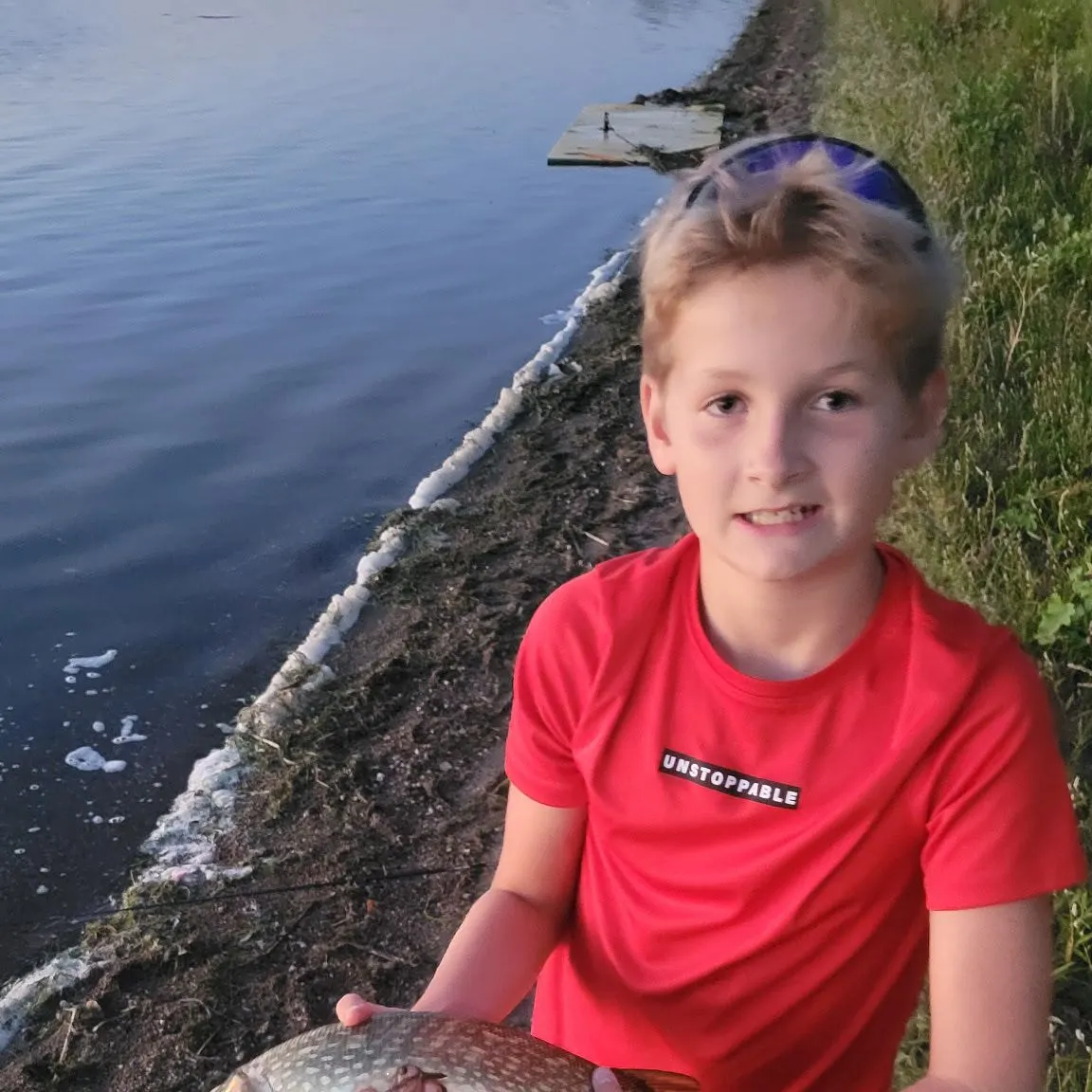 Northern pike caught on Fishbrain