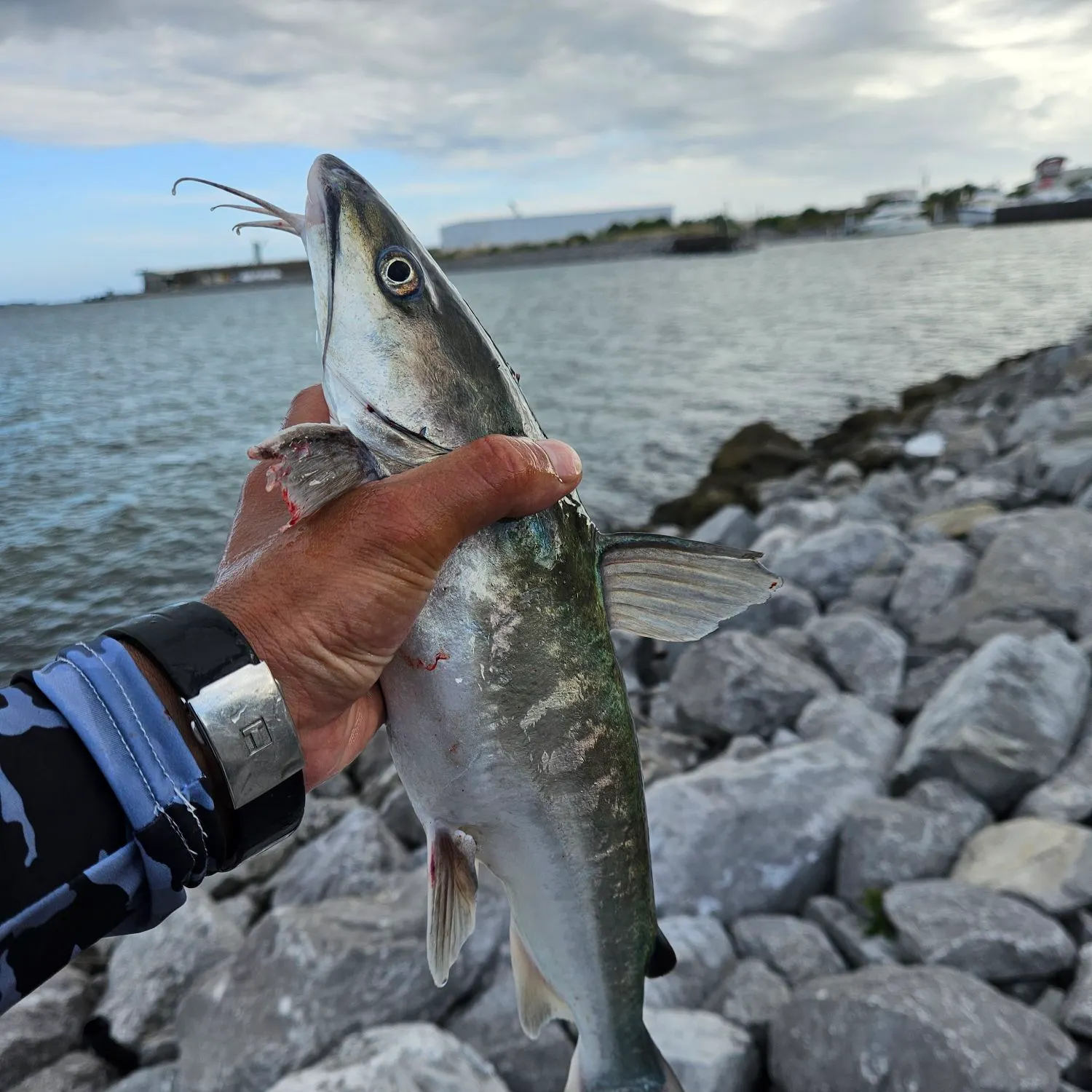 catch
