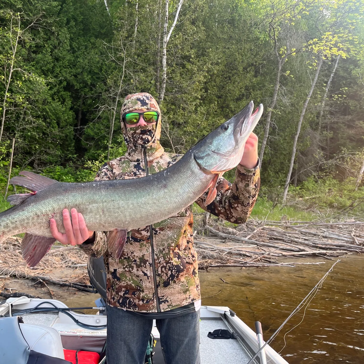 The most recent Muskellunge catches on Fishbrain