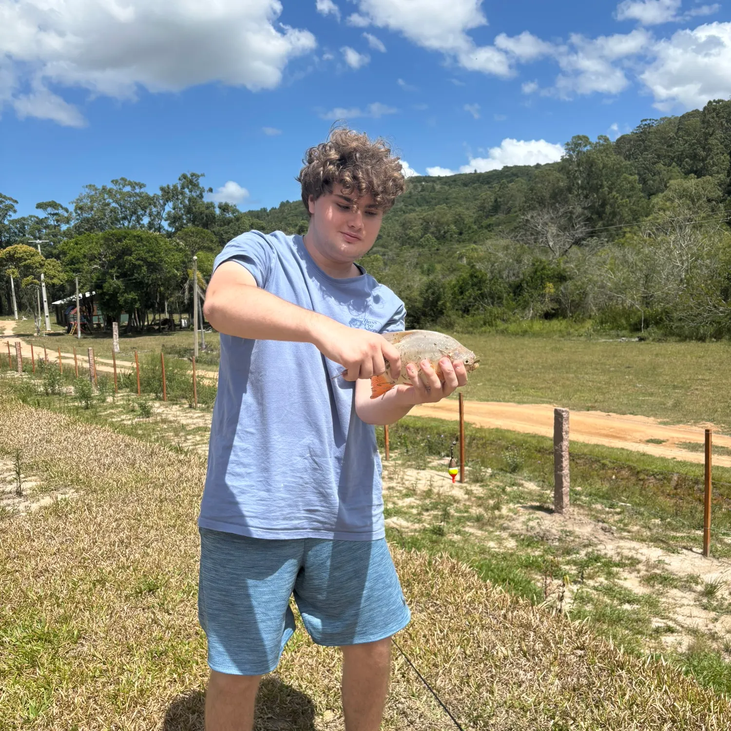 The most recent Tambacu catches on Fishbrain