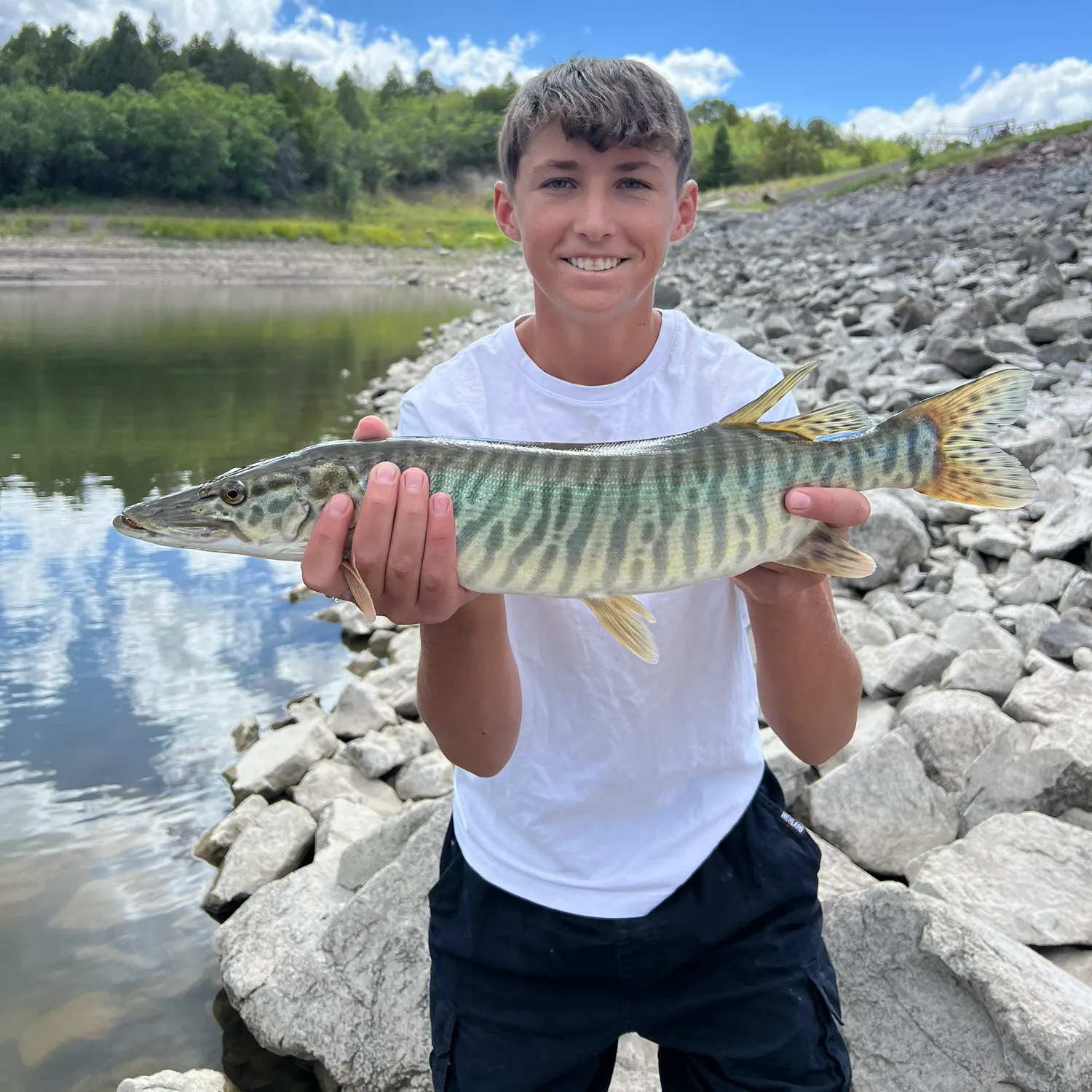 The most recent Tiger muskellunge catches on Fishbrain