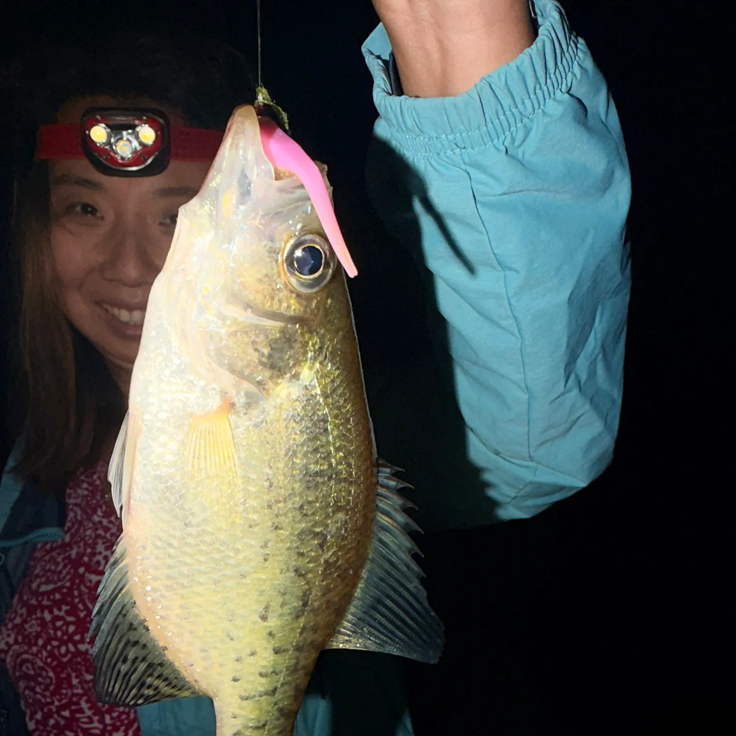 Magnolia crappie caught on Fishbrain