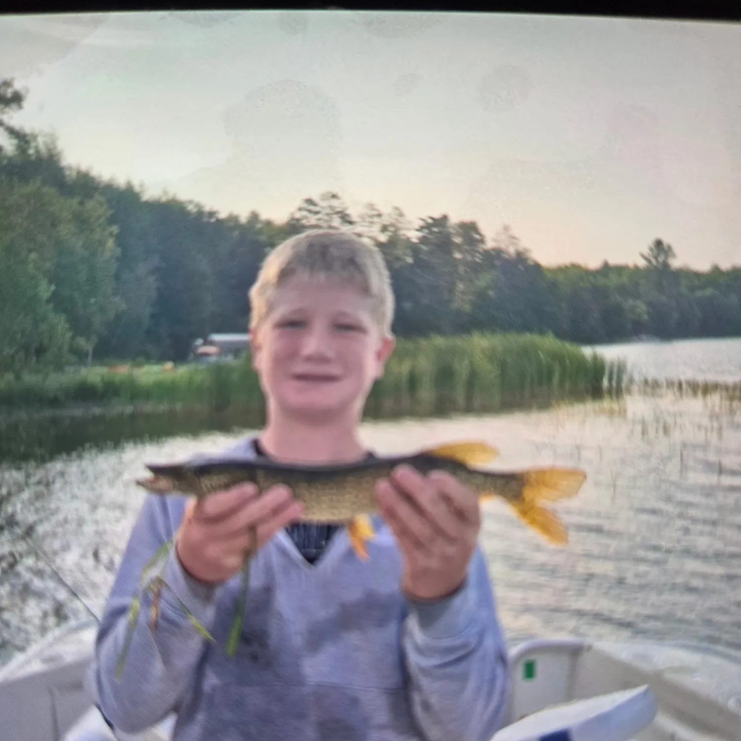 Northern pike caught on Fishbrain