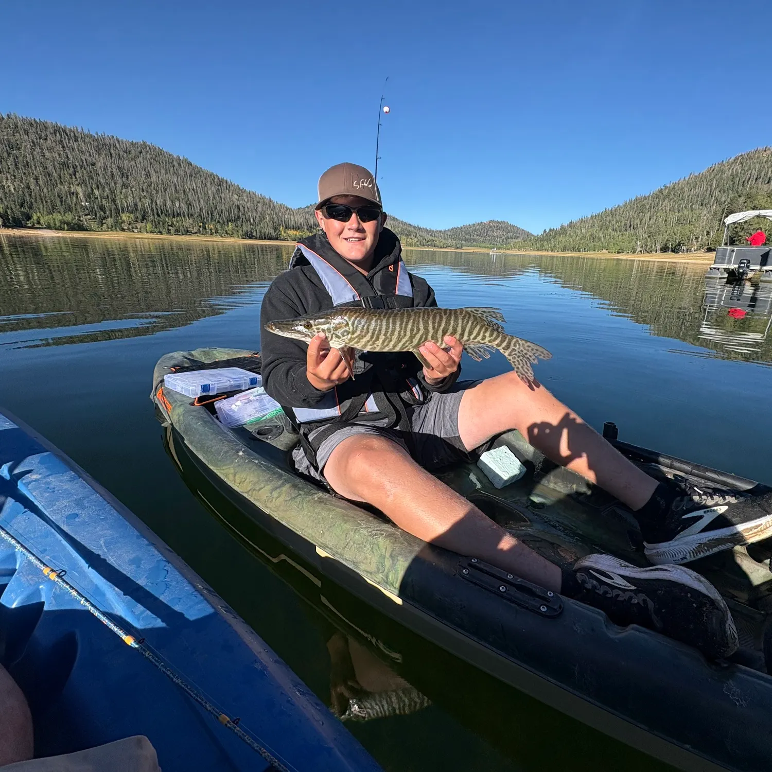 Tiger muskie caught on Fishbrain
