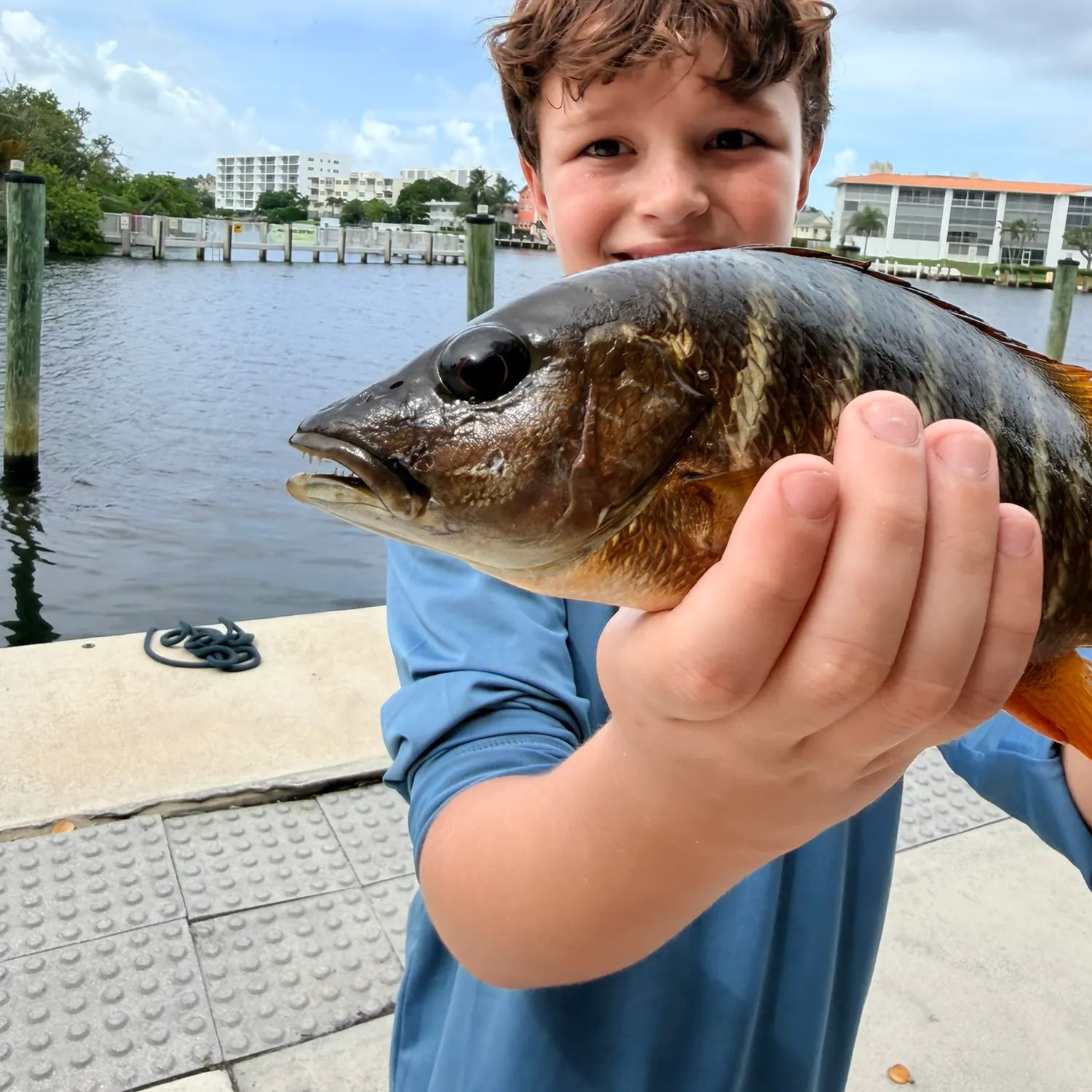 Fish caught on Fishbrain