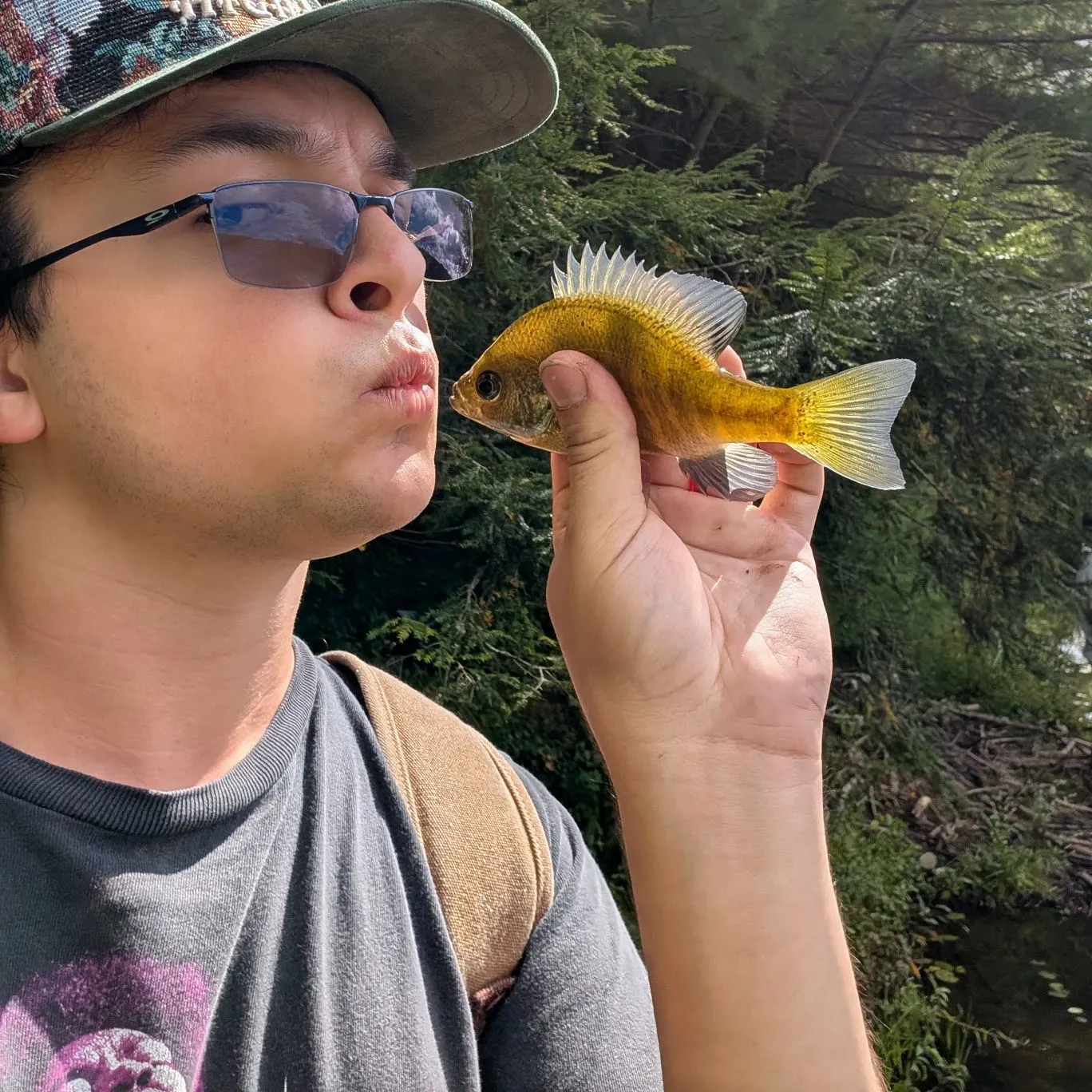 Bluegill caught on Fishbrain