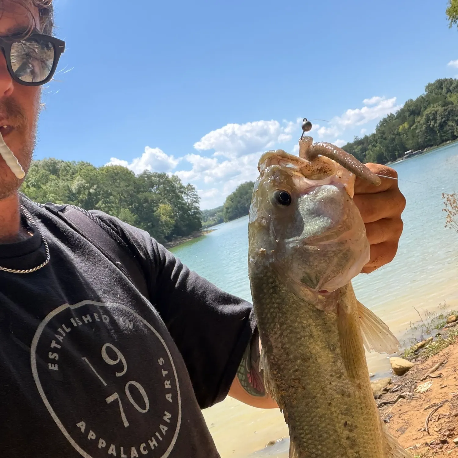 Largemouth bass caught on Fishbrain