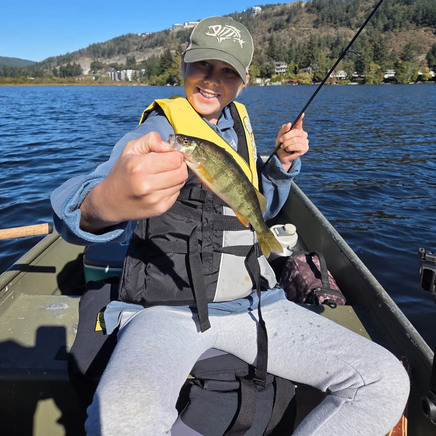 Yellow perch caught on Fishbrain