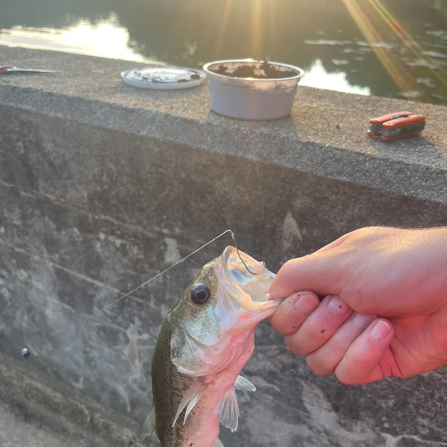 catch