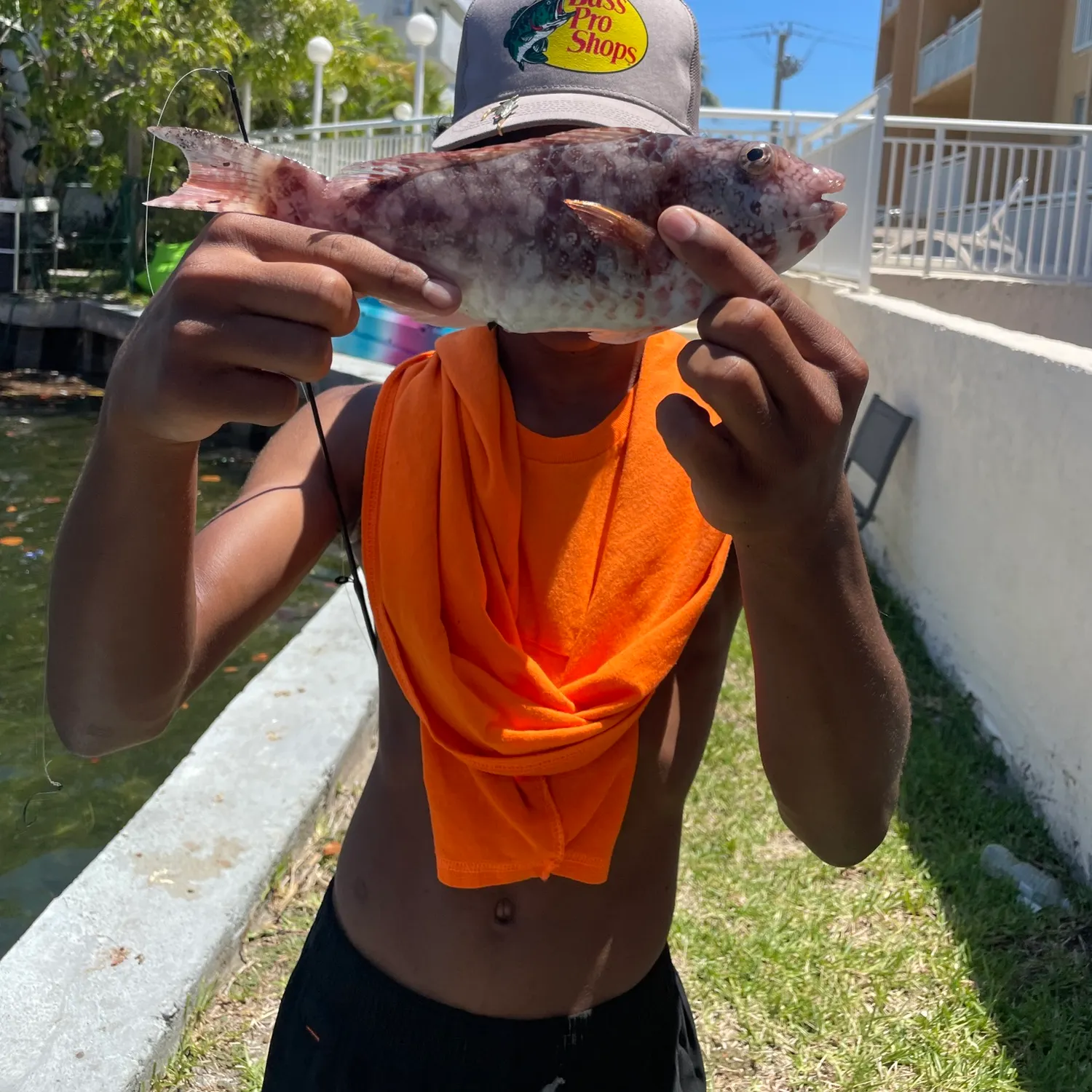 The most recent Redtail parrotfish catches on Fishbrain