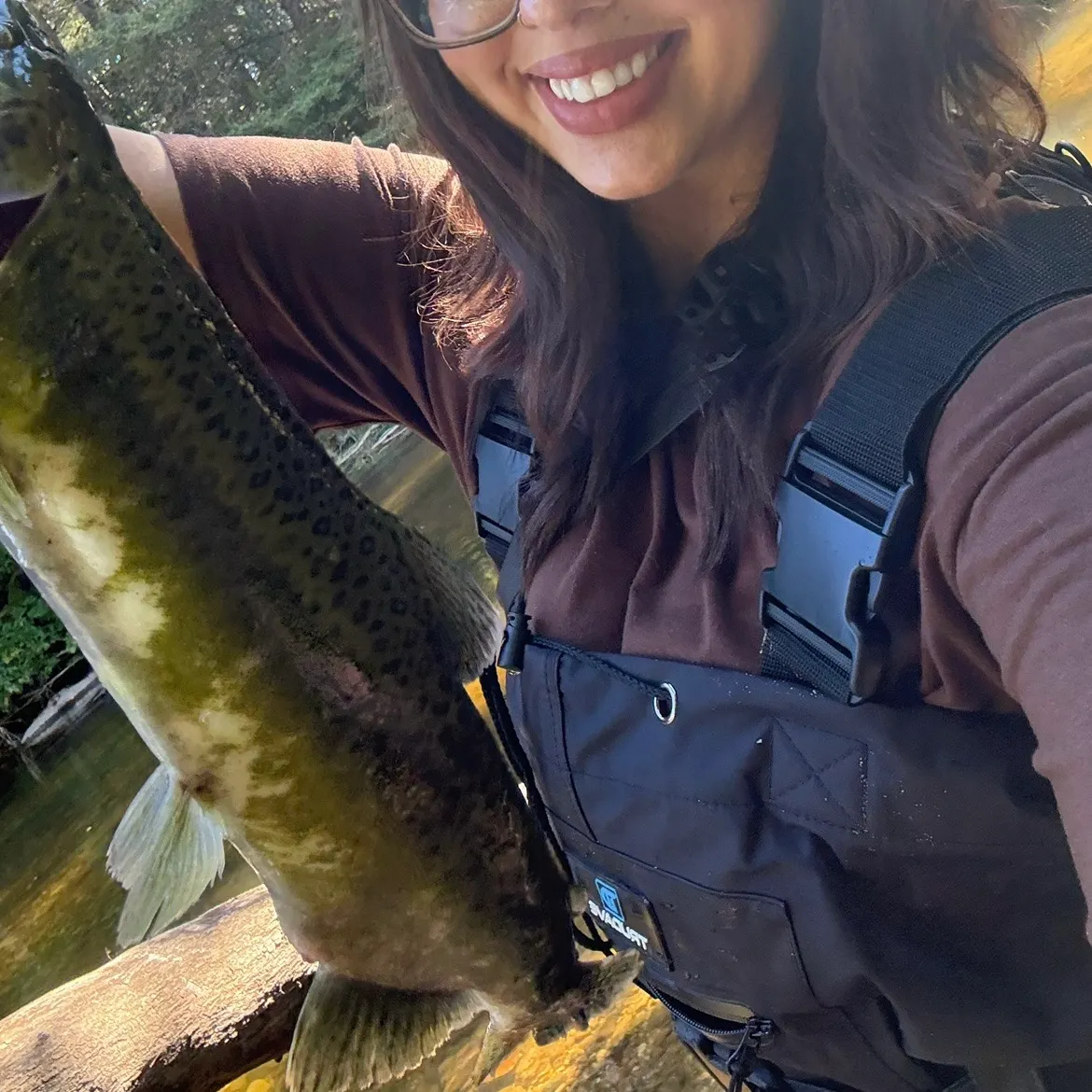 The most recent Pink salmon catches on Fishbrain