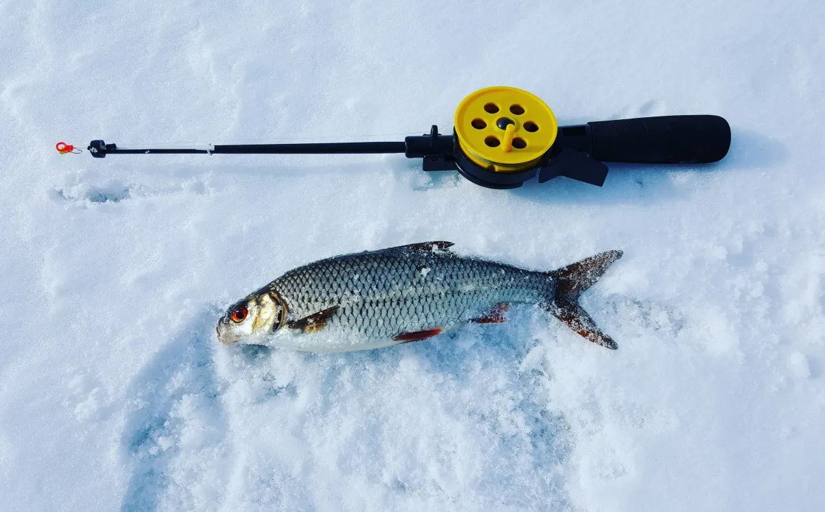 Post image from janeandr