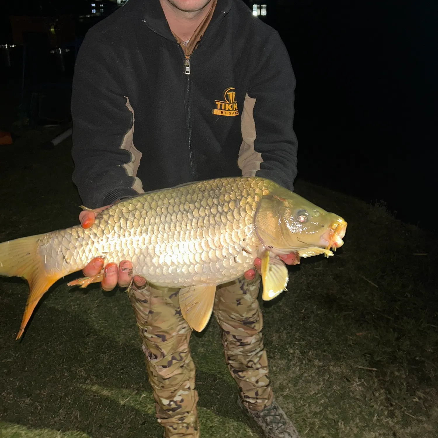 Common carp caught on Fishbrain