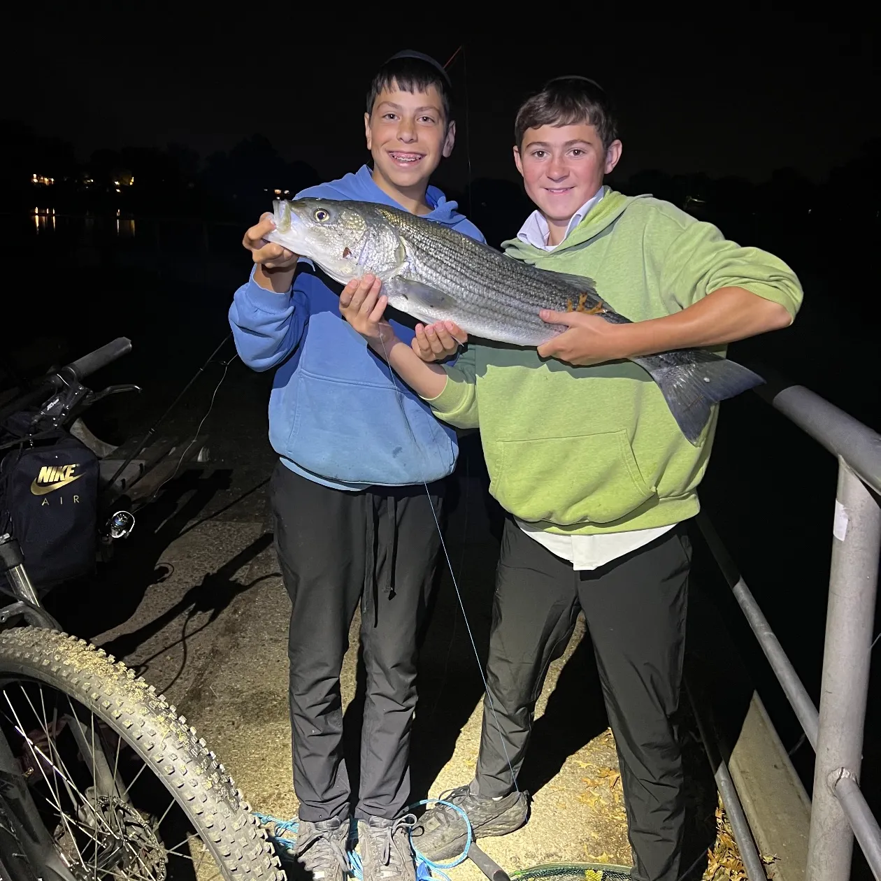 Striped bass caught on Fishbrain