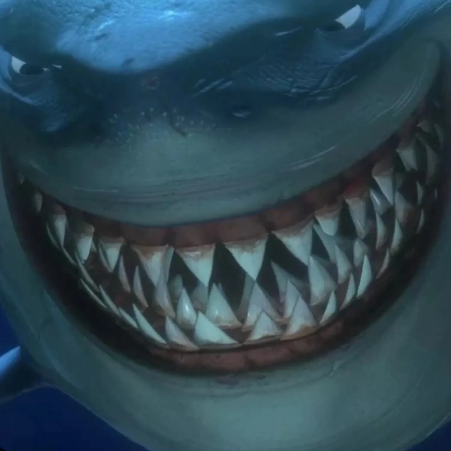 The most recent Silvertip shark catches on Fishbrain