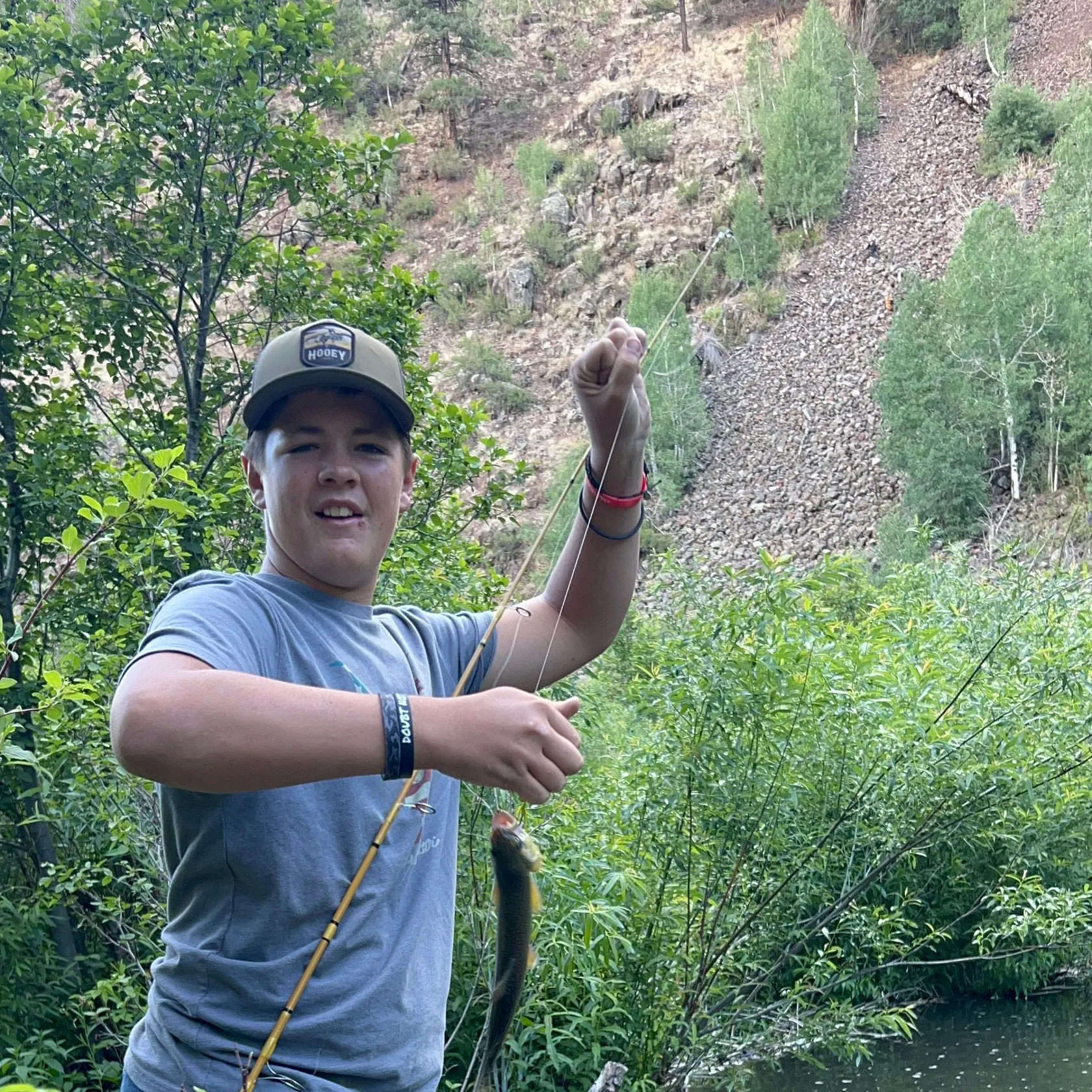 The most recent Apache trout catches on Fishbrain
