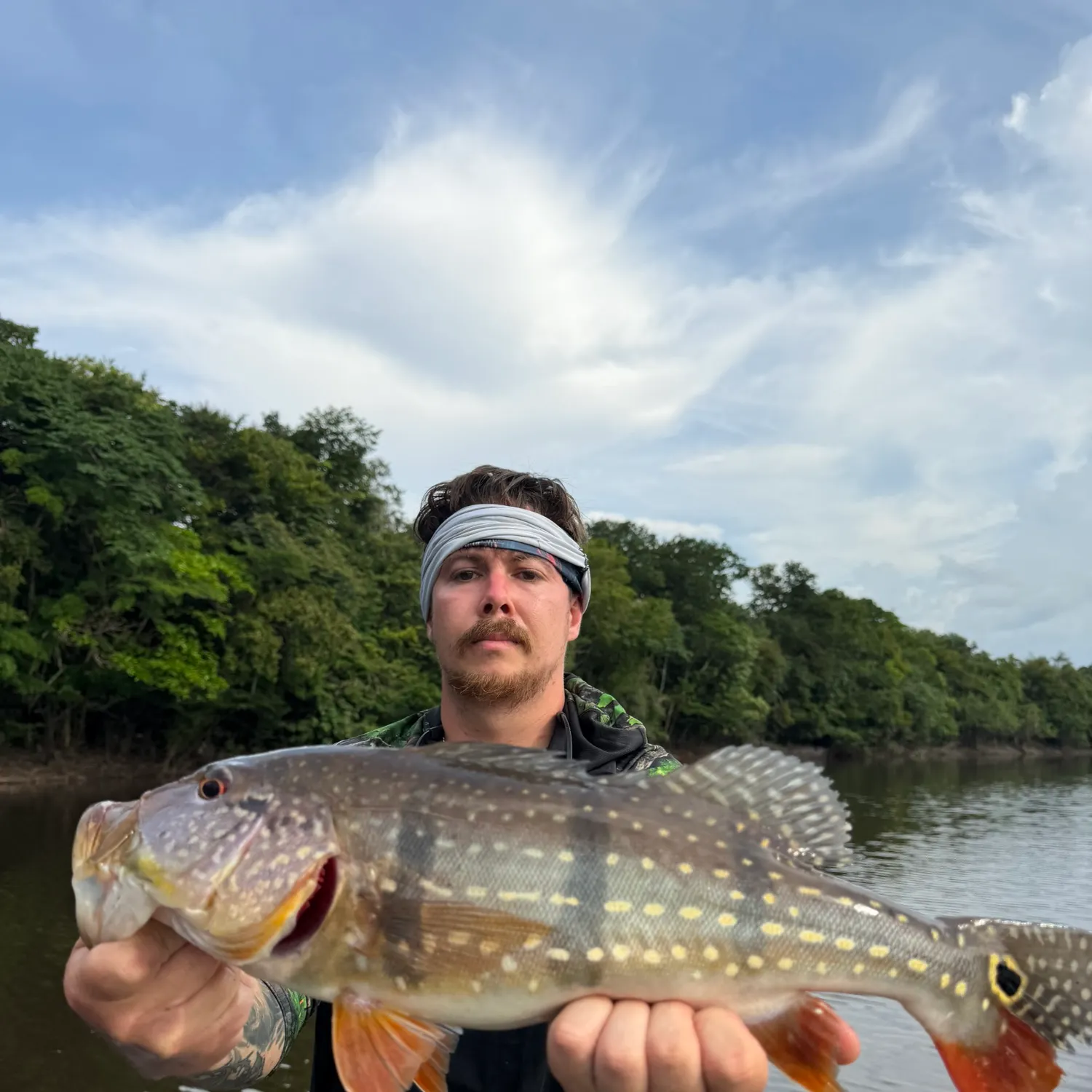 Butterfly peacock bass caught on Fishbrain