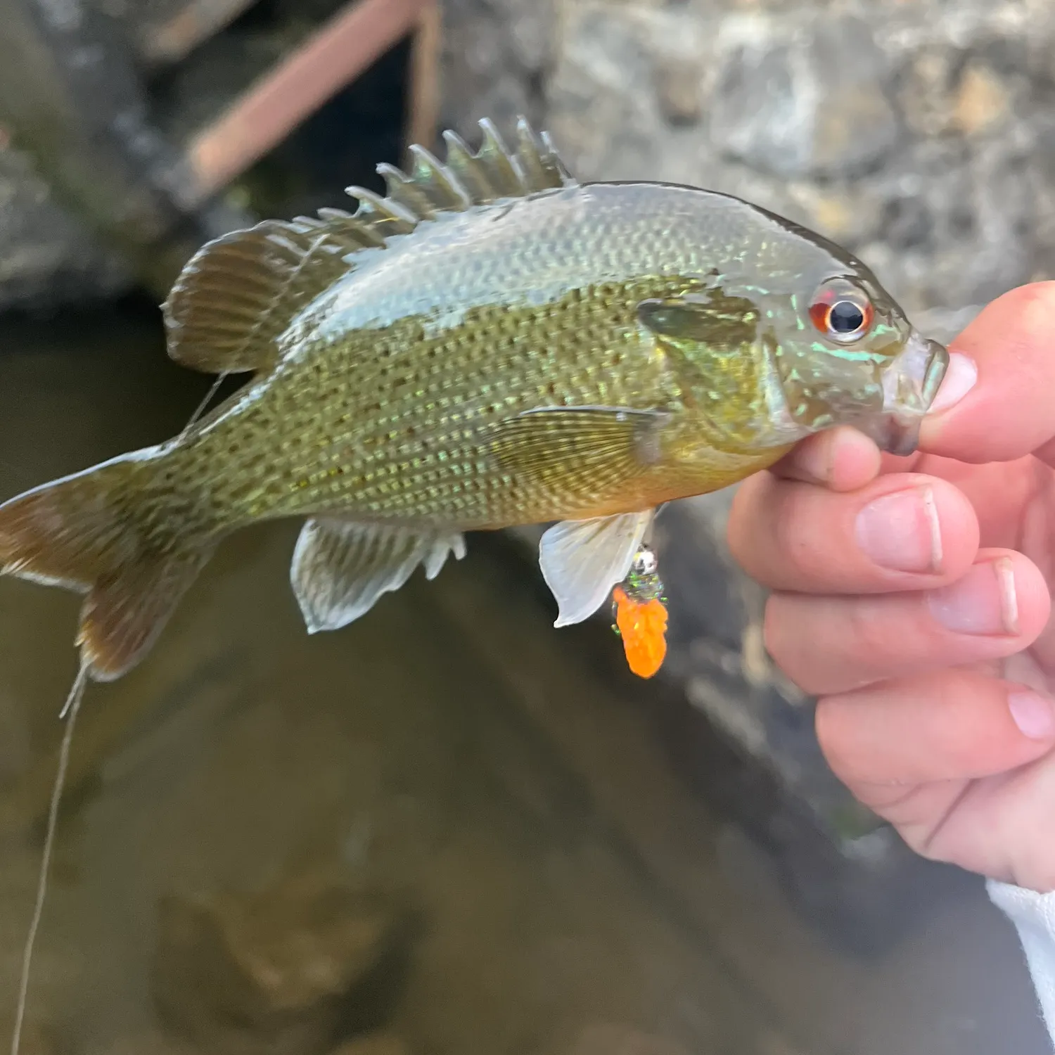 catch