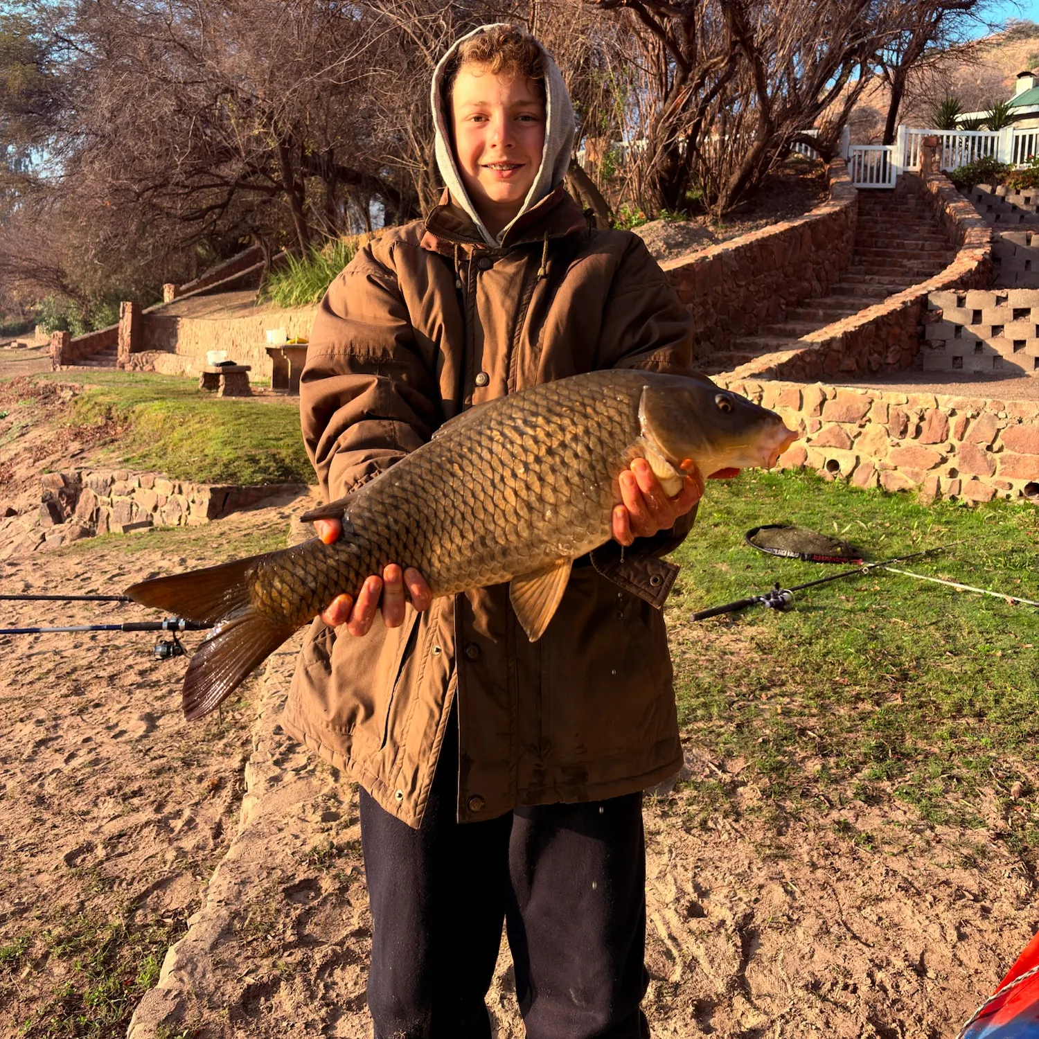 Common carp caught on Fishbrain