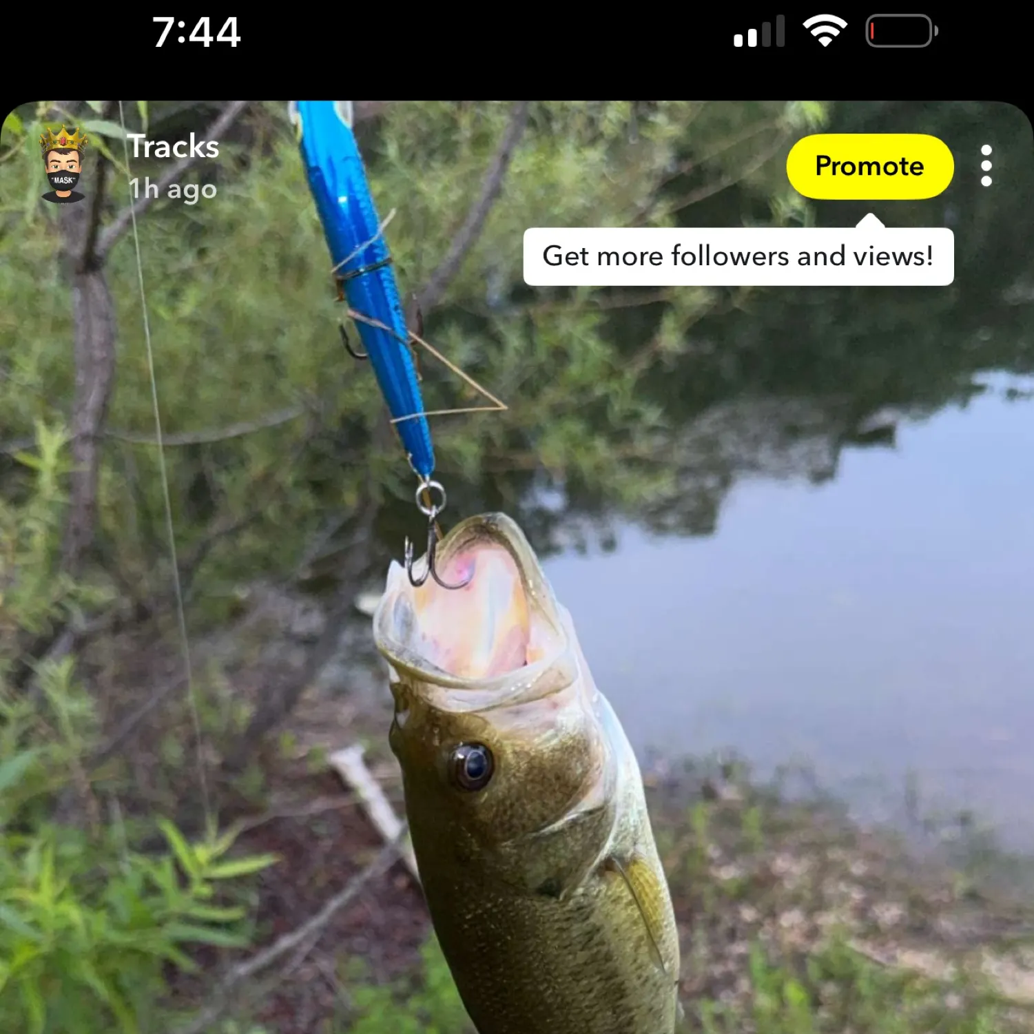 recently logged catches