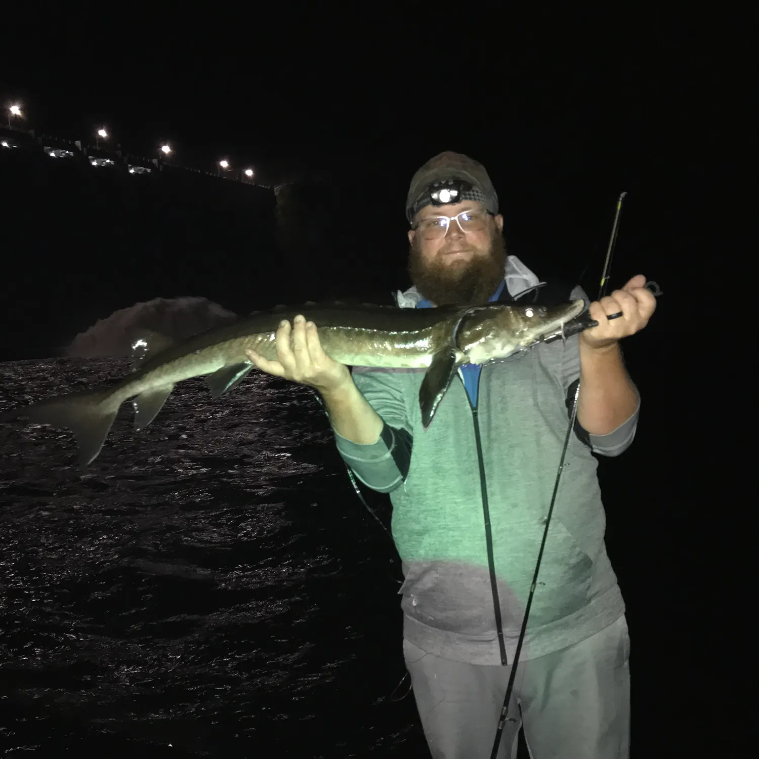 The most recent Lake sturgeon catches on Fishbrain