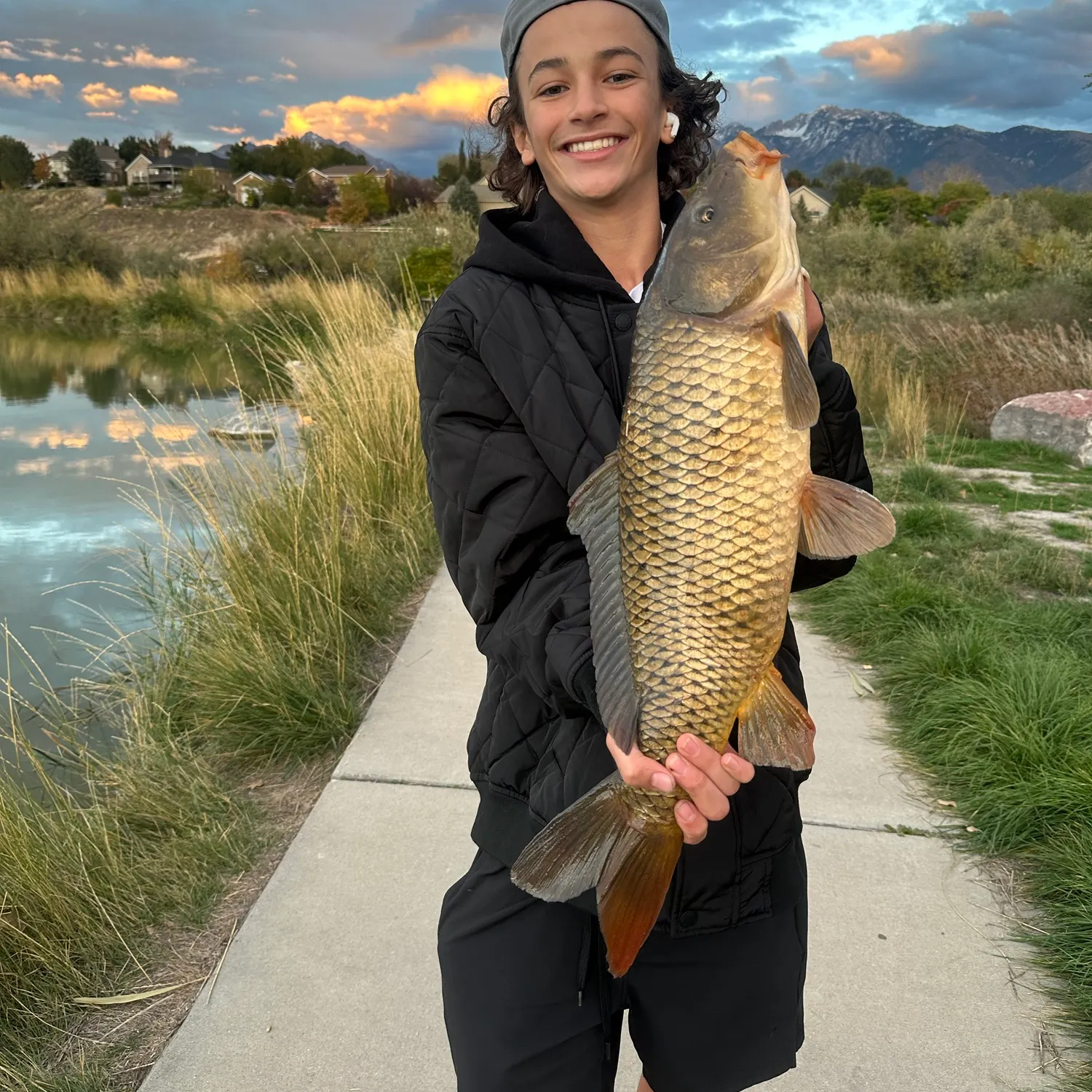 Common carp caught on Fishbrain