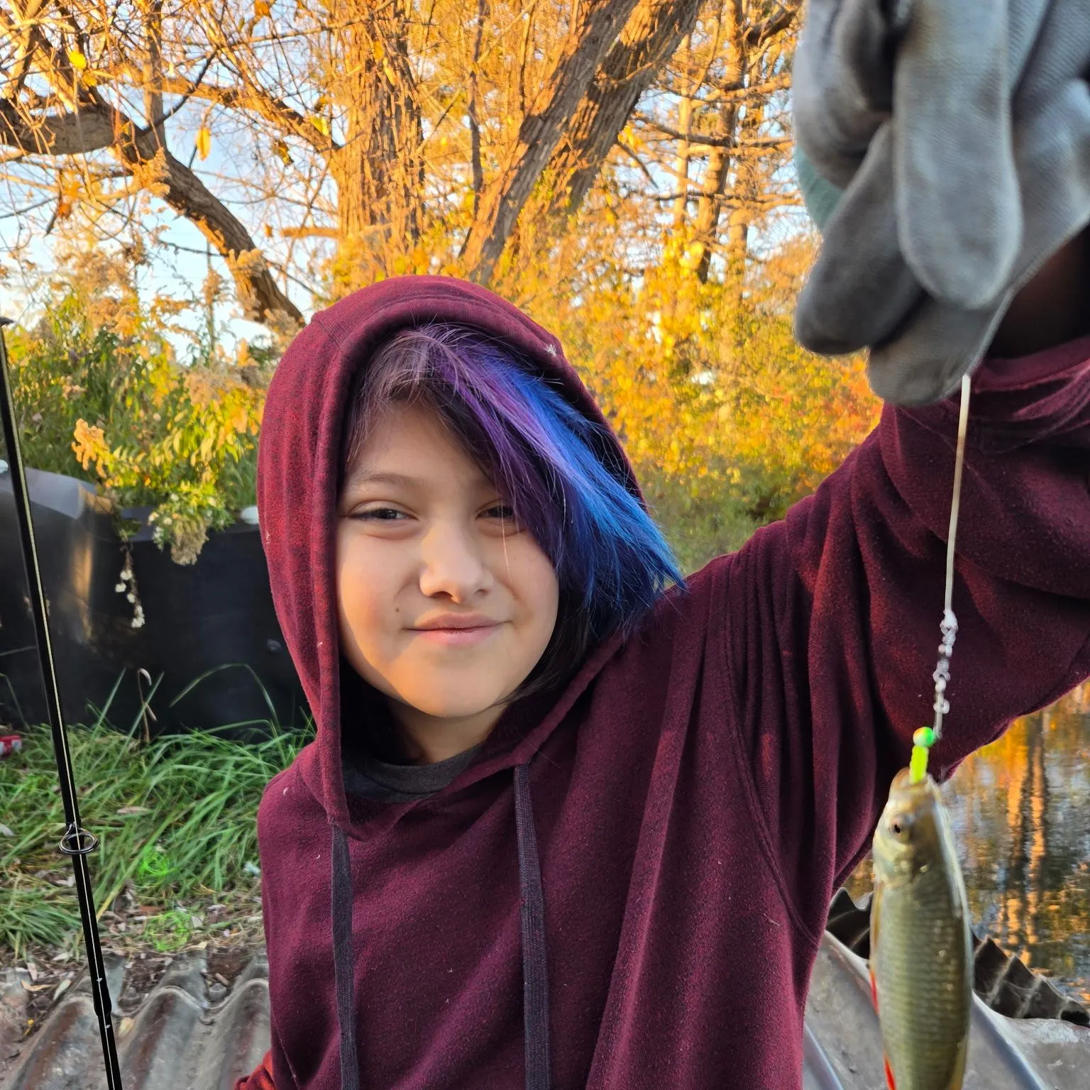 The most recent Common rudd catches on Fishbrain