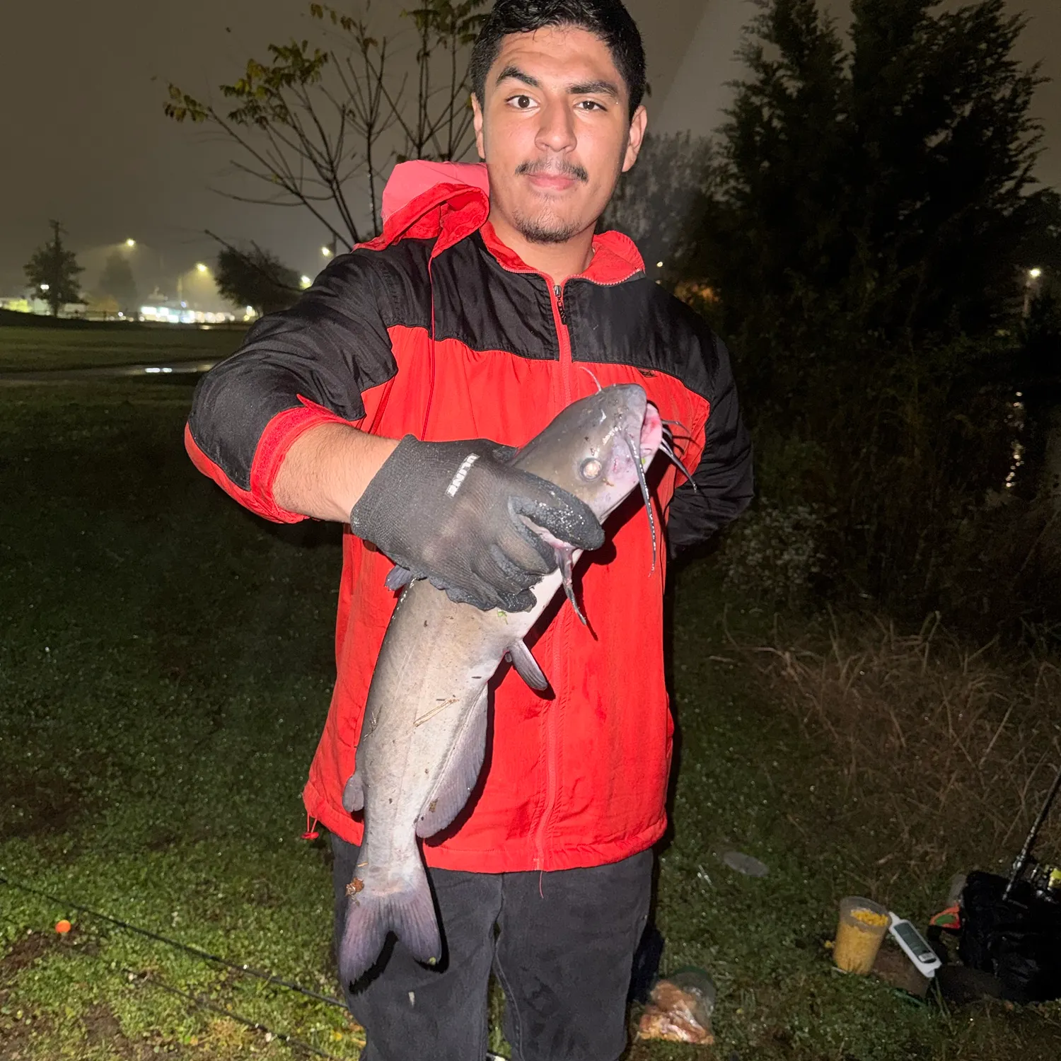Channel catfish caught on Fishbrain