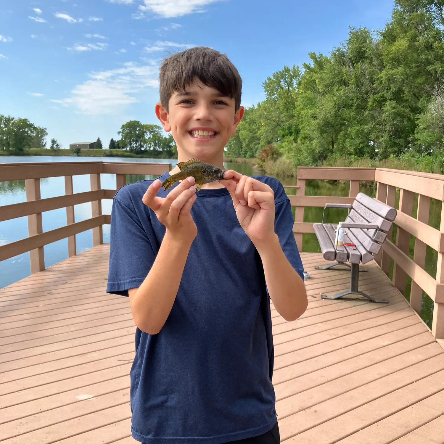 Bluegill caught on Fishbrain