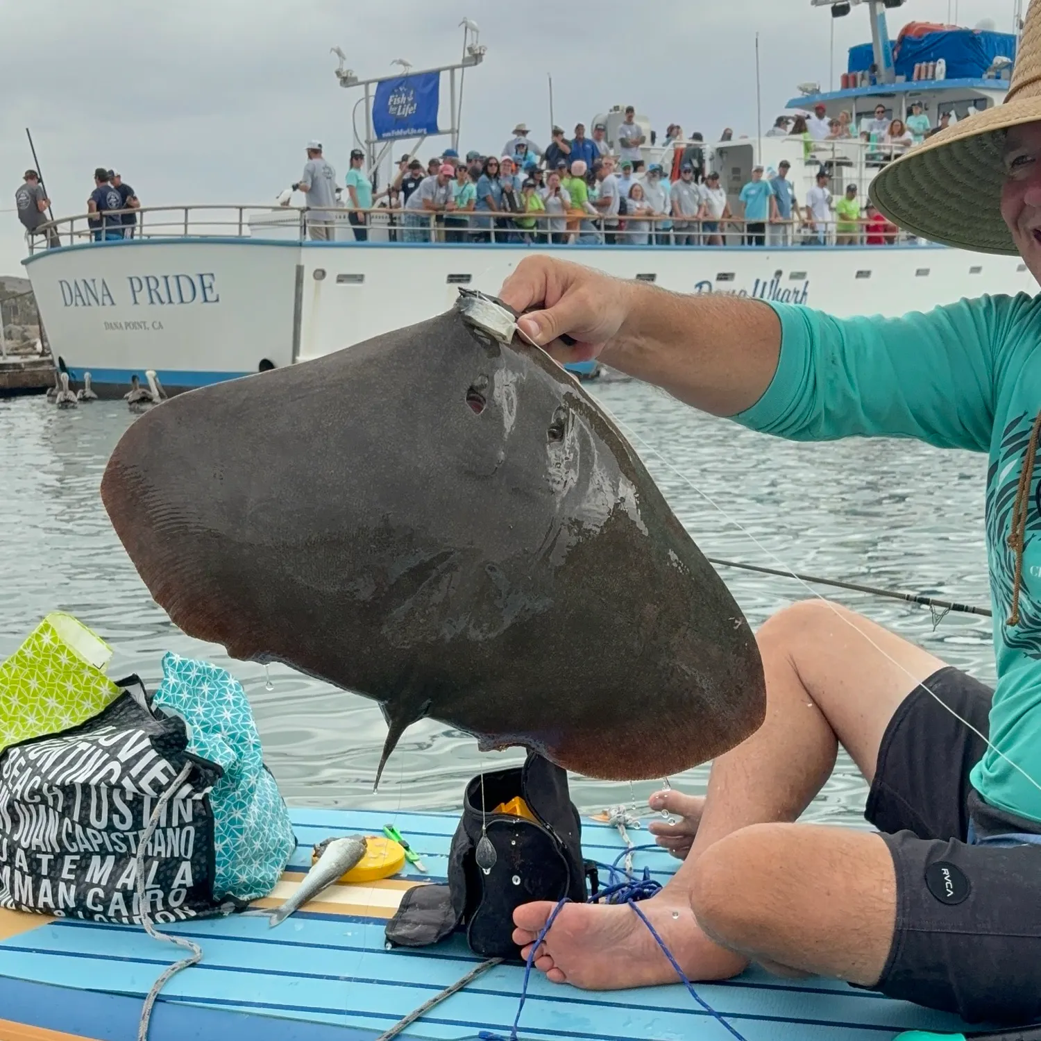 The most recent Spiny butterfly ray catches on Fishbrain