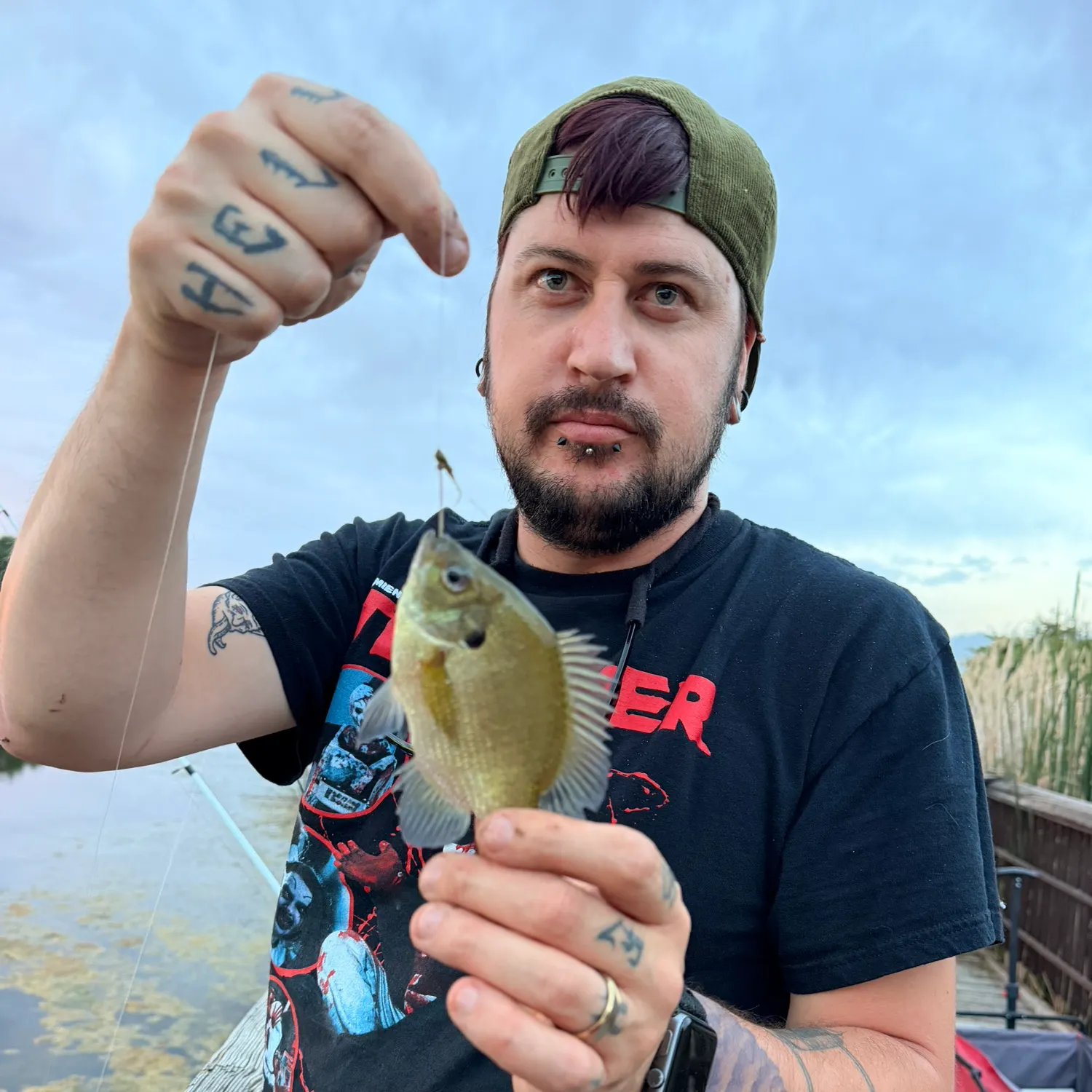 recently logged catches