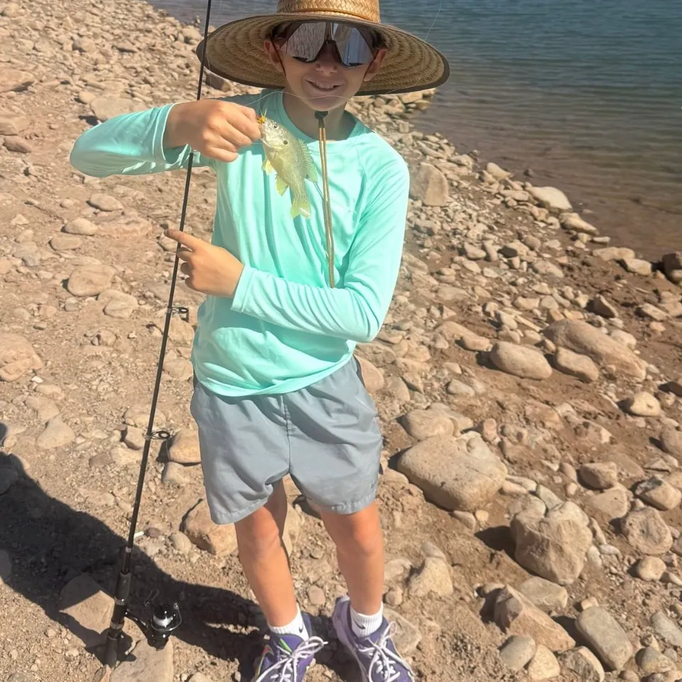 Smallmouth bass caught on Fishbrain