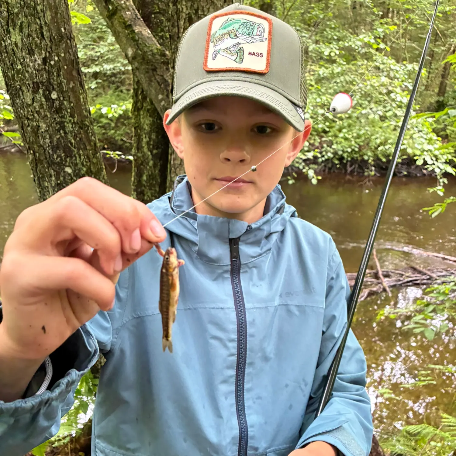 The most recent Lake trout catches on Fishbrain