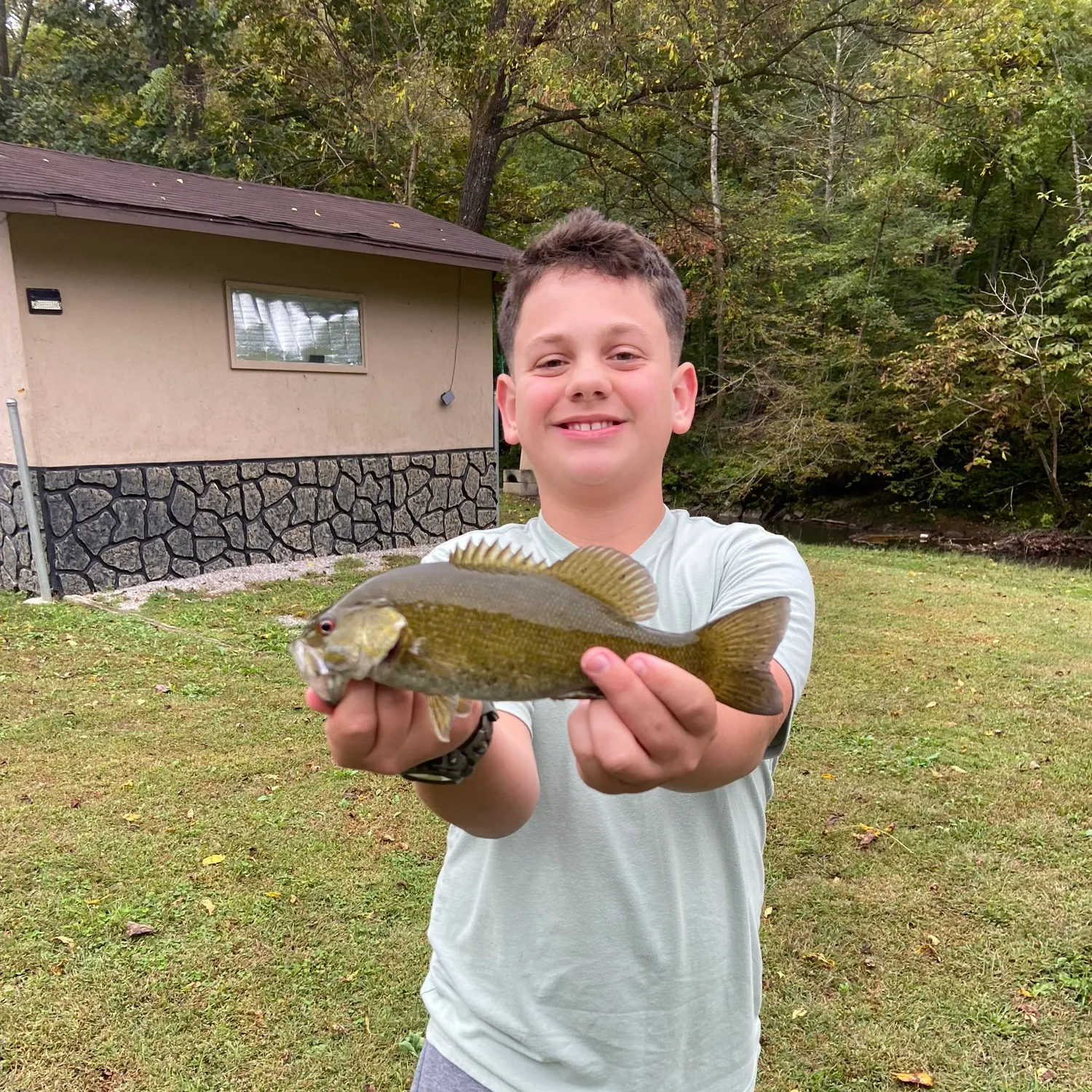 Smallmouth bass caught on Fishbrain