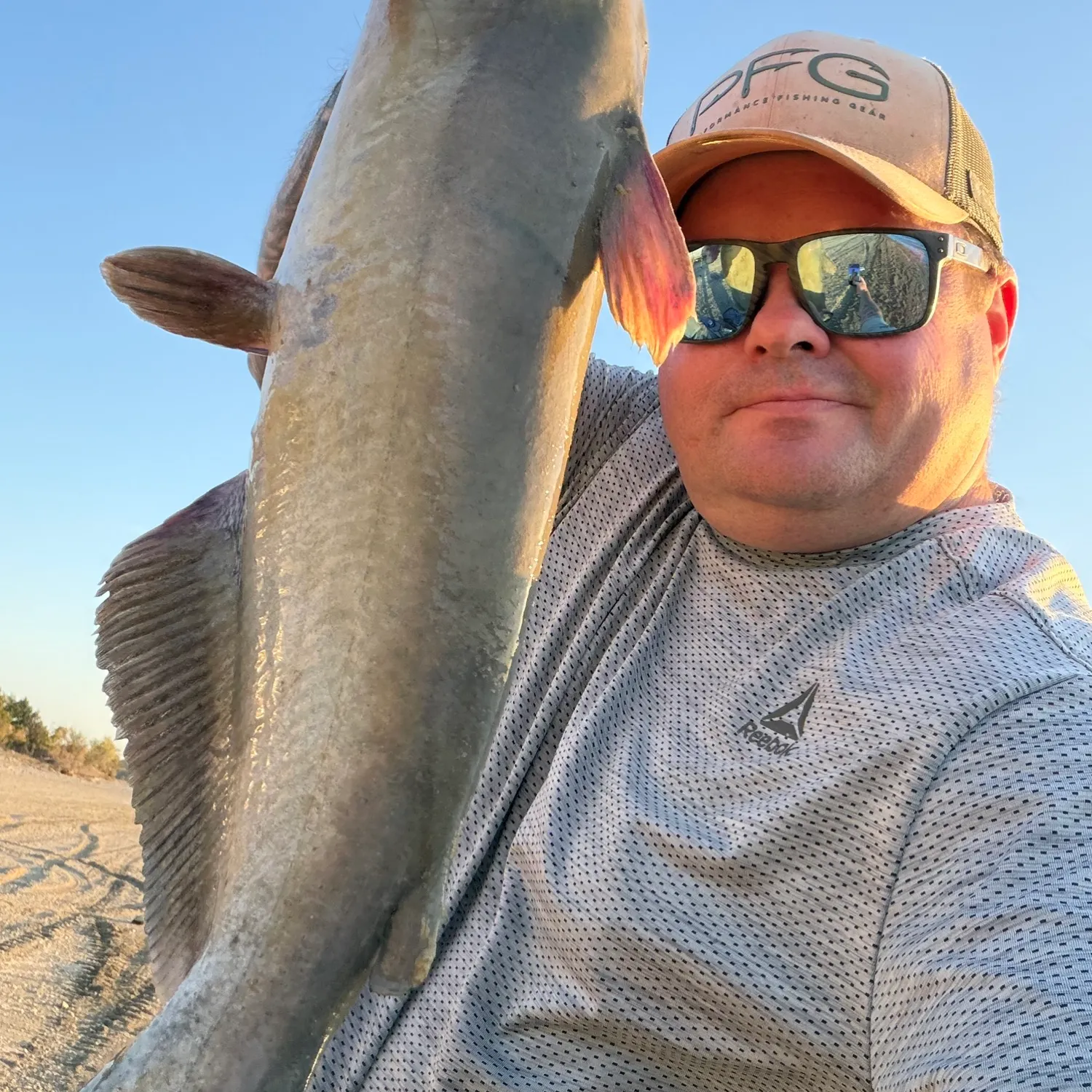 Blue catfish caught on Fishbrain